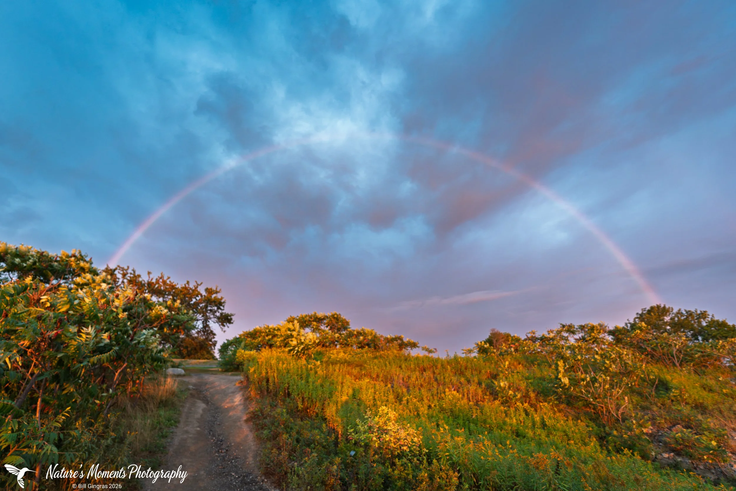2026-09-06 Landscapes Rainbow PHL ME-1.jpg
