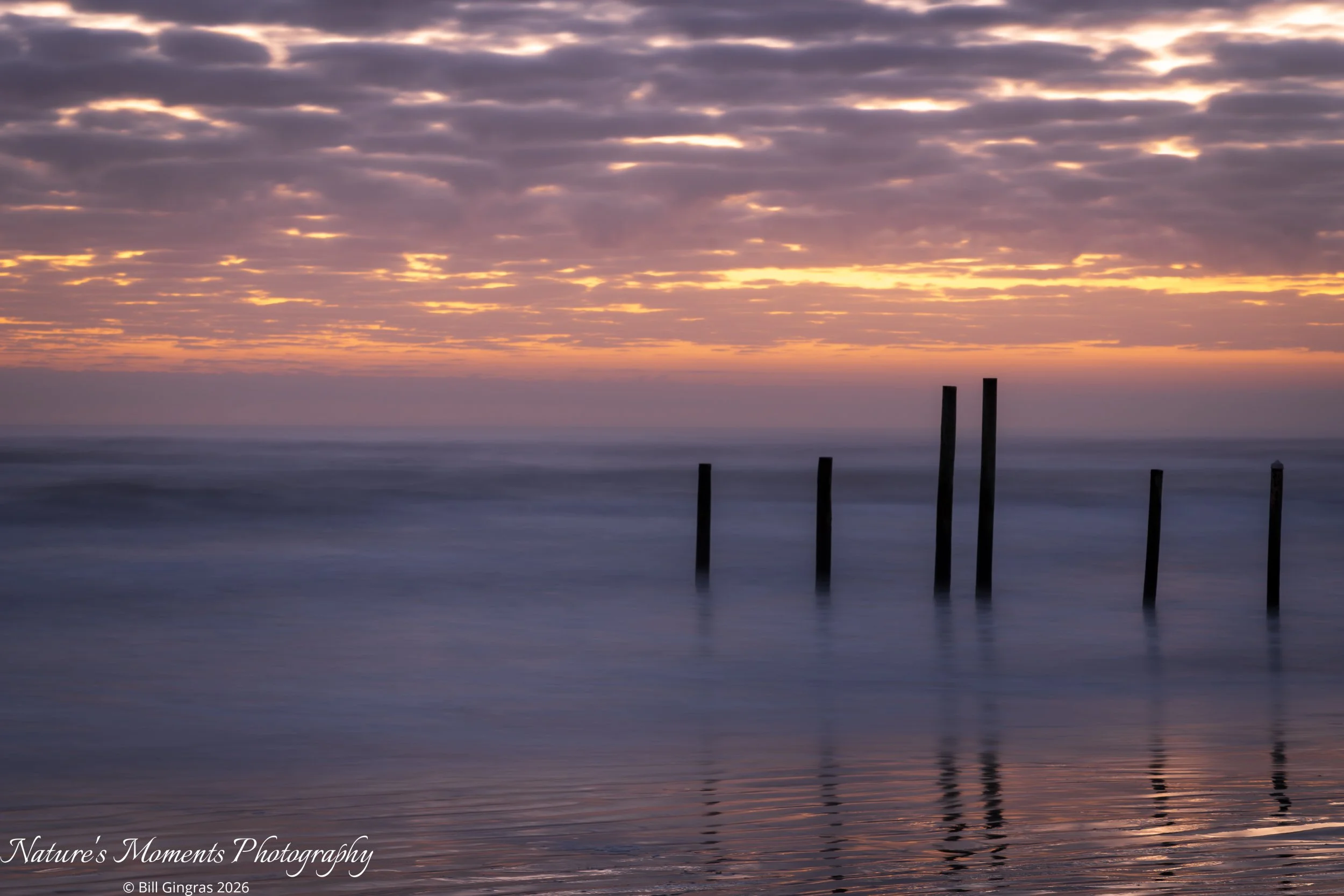 2026-02-18 Landscapes Coastal Pilings NSB FL-1.jpg