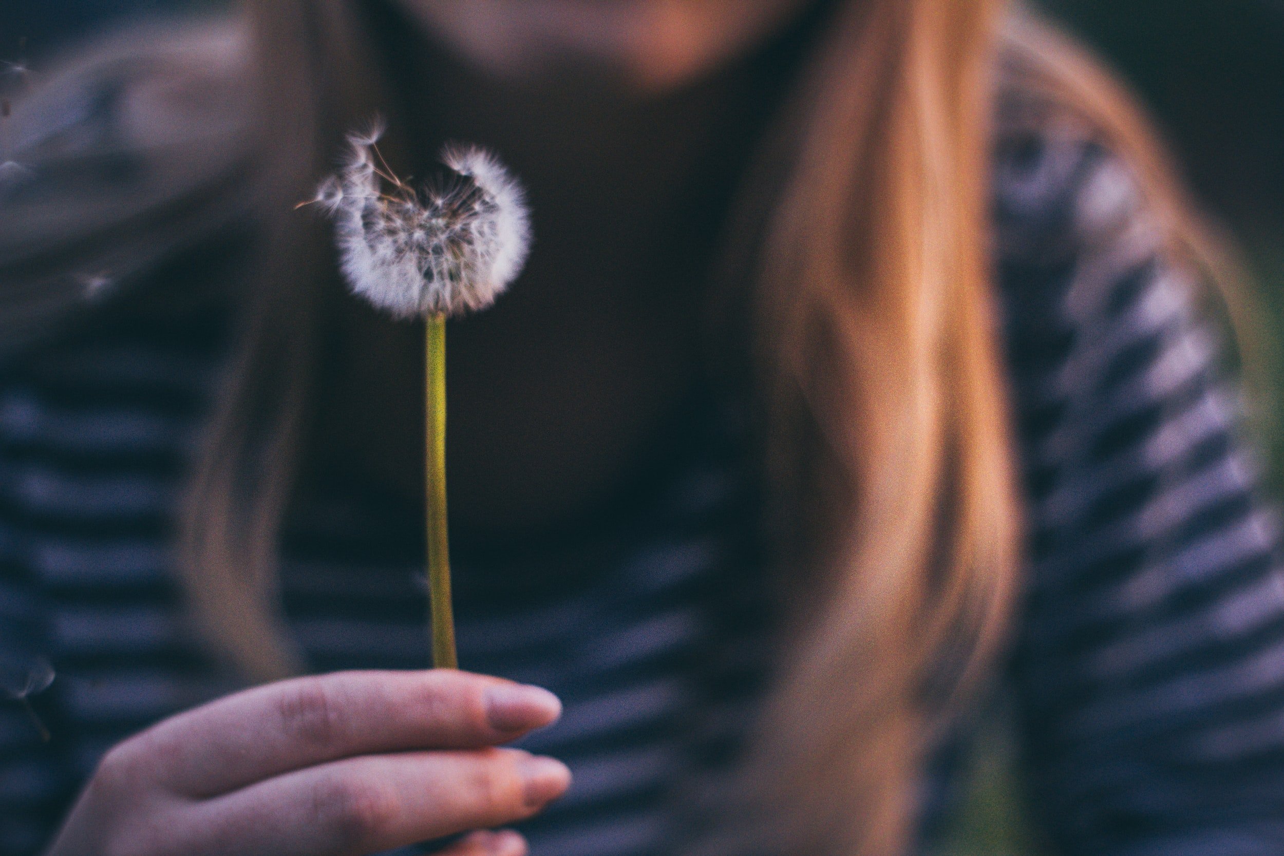 unsplash-image-0gEpuFcswi4.jpg