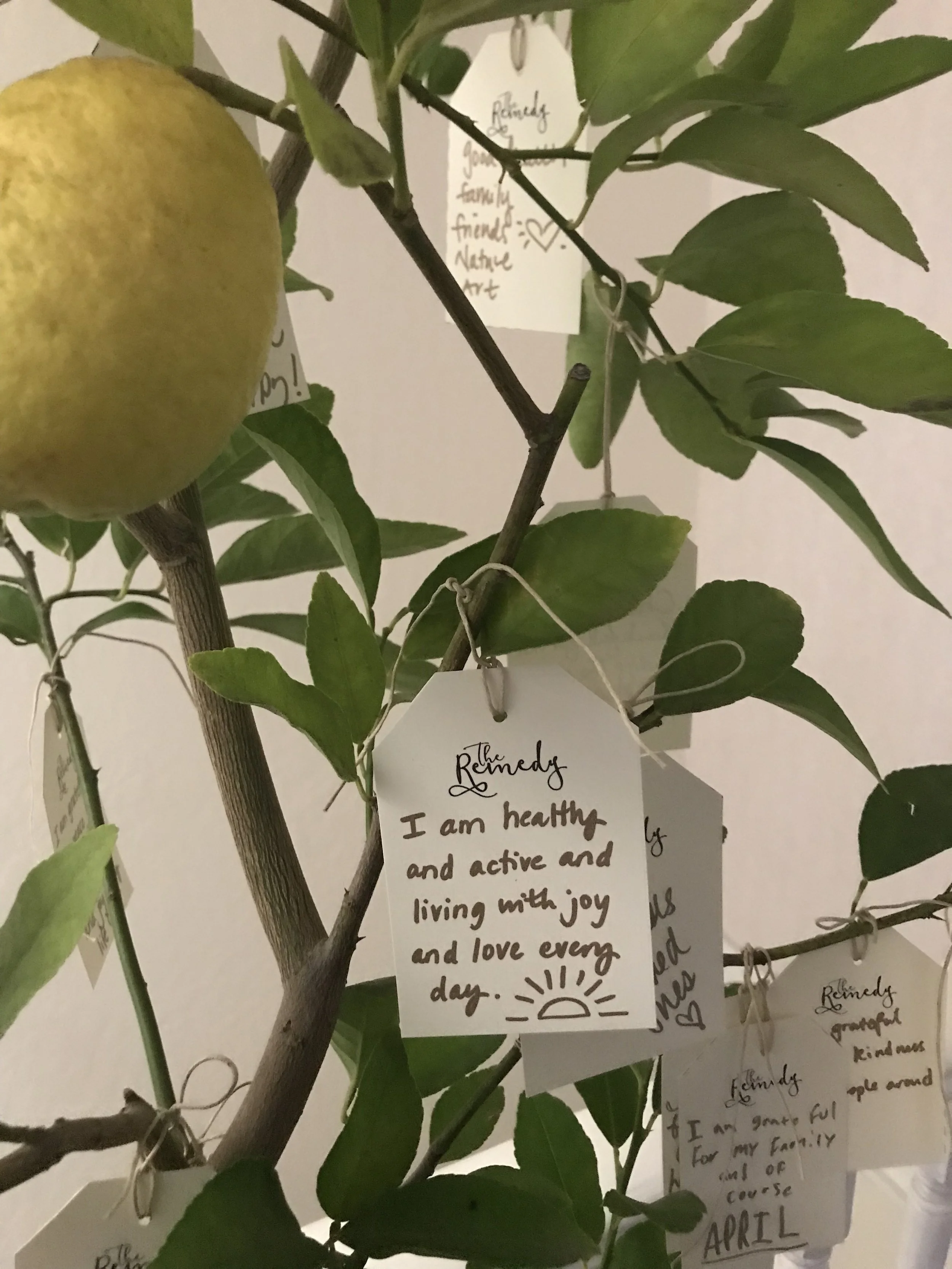 The Remedy tag on tree: I am healthy and active and living with joy and love every day.