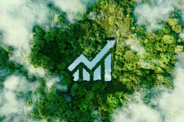 Climate Scenario Analysis in Private Equity and Investing