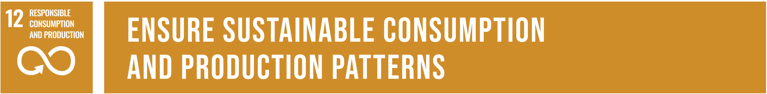 UN SDG 12: Responsible consumption and production