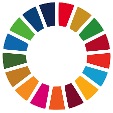 United Nations Global Goals Graphic
