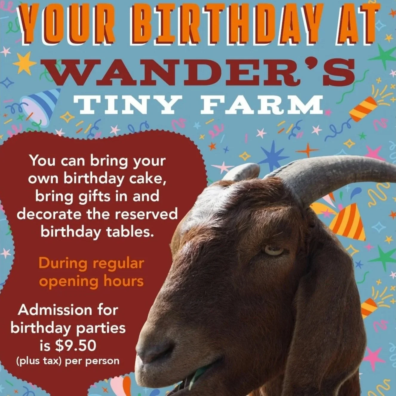 Birthday Party Reservation