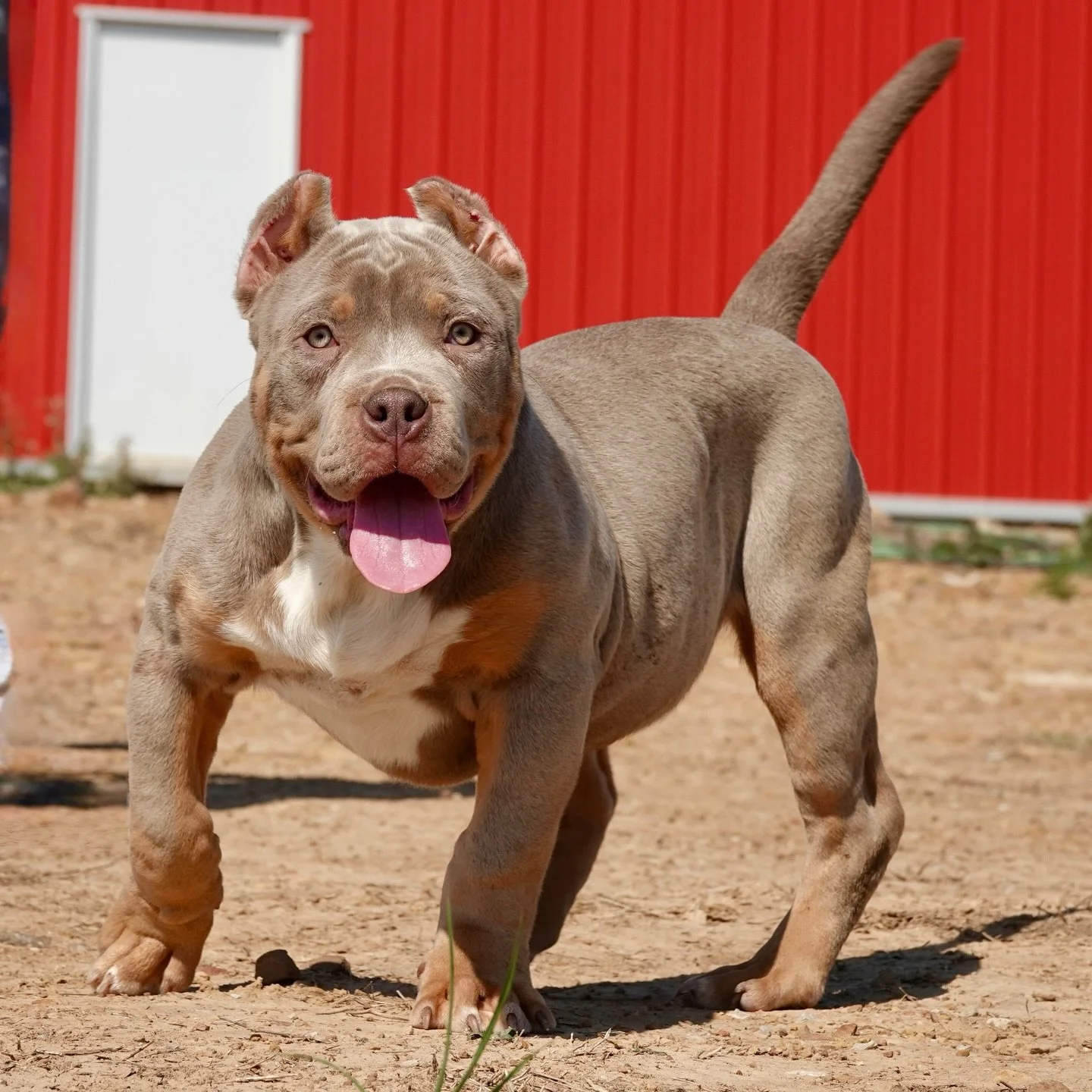 Man o Man 😮&zwj;💨
#HeirSon