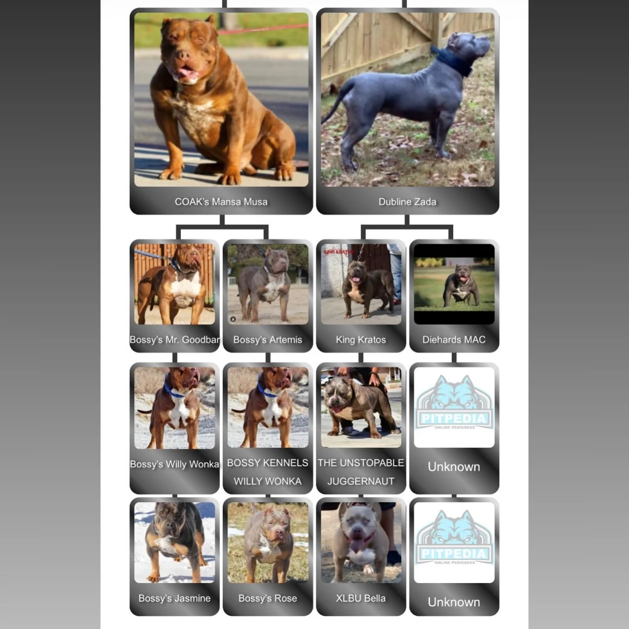 Lil momma back in heat 🩸
Let&rsquo;s hope she doesn&rsquo;t give us a hard cycle this time 🙏