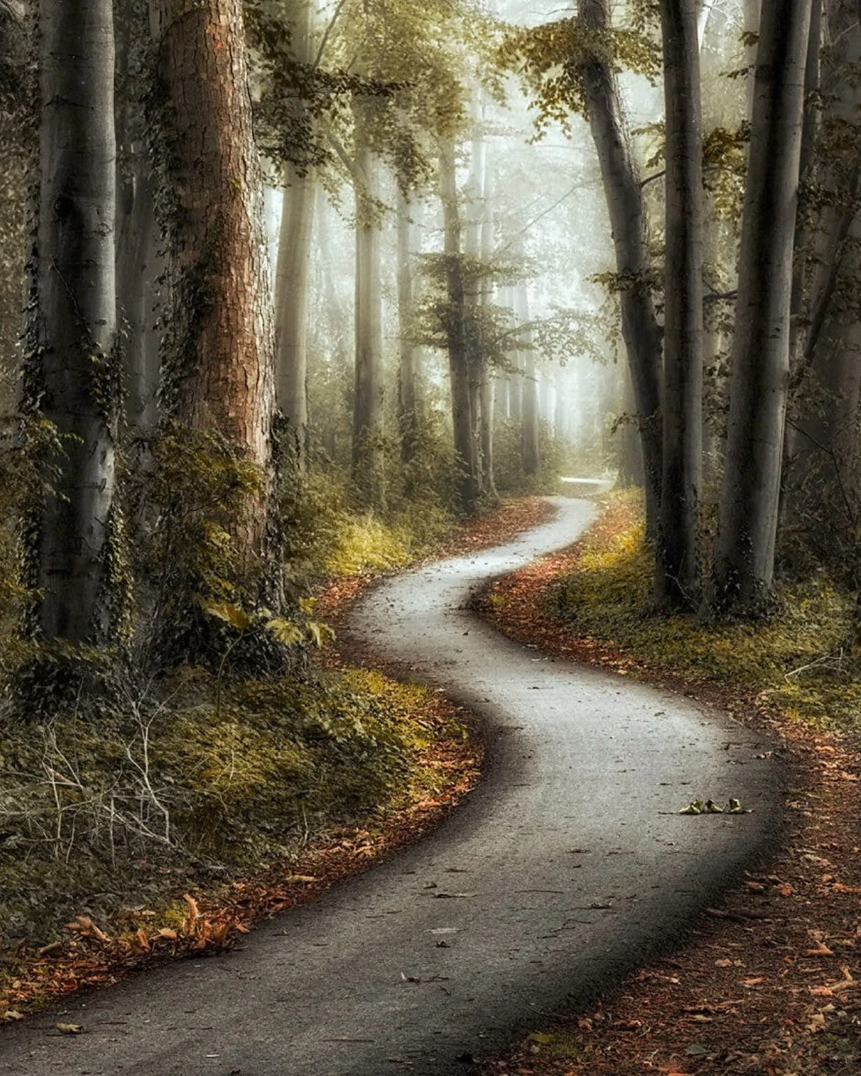 Transforming Anger Into Connection & Growth