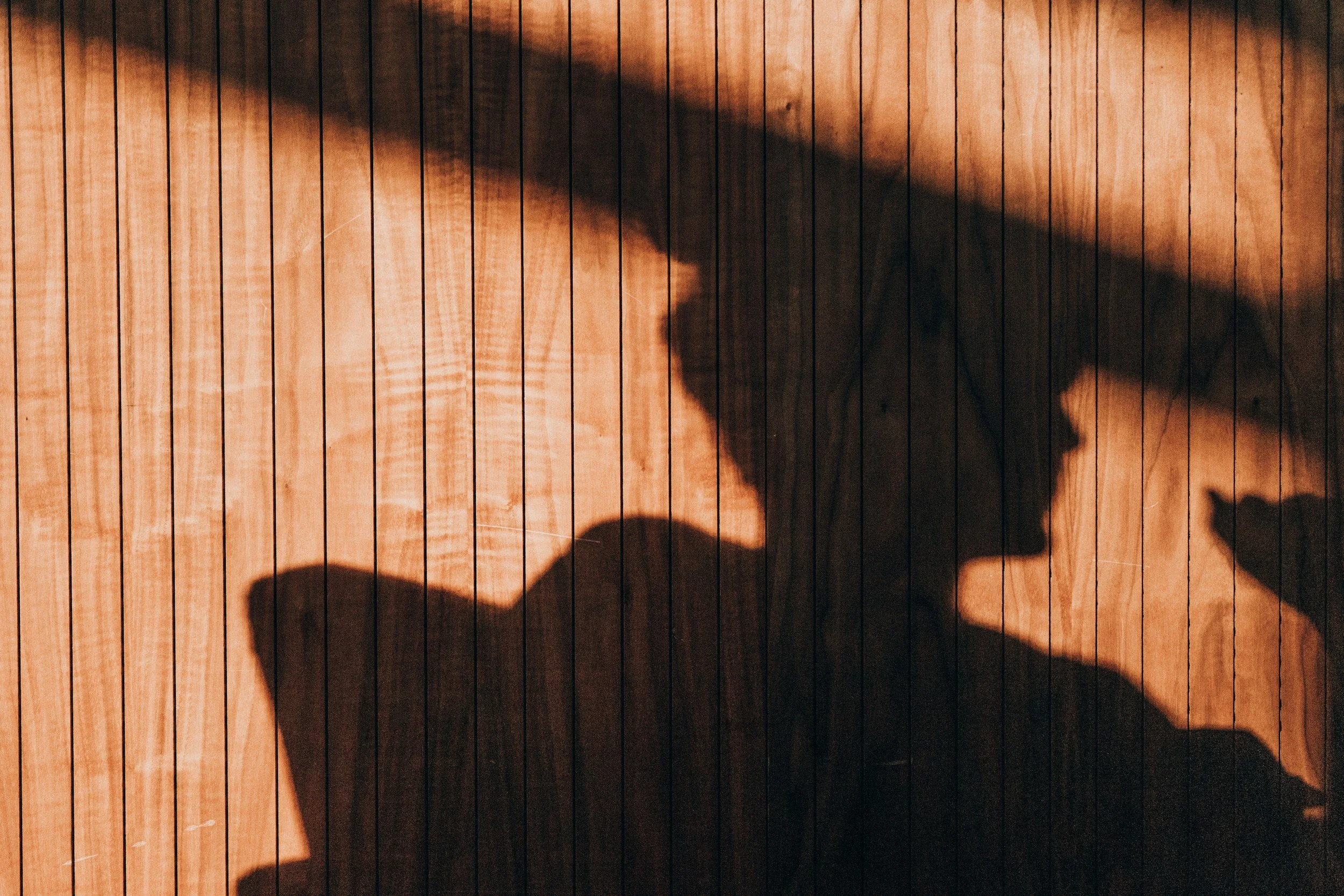 Shadow Work in Relationships