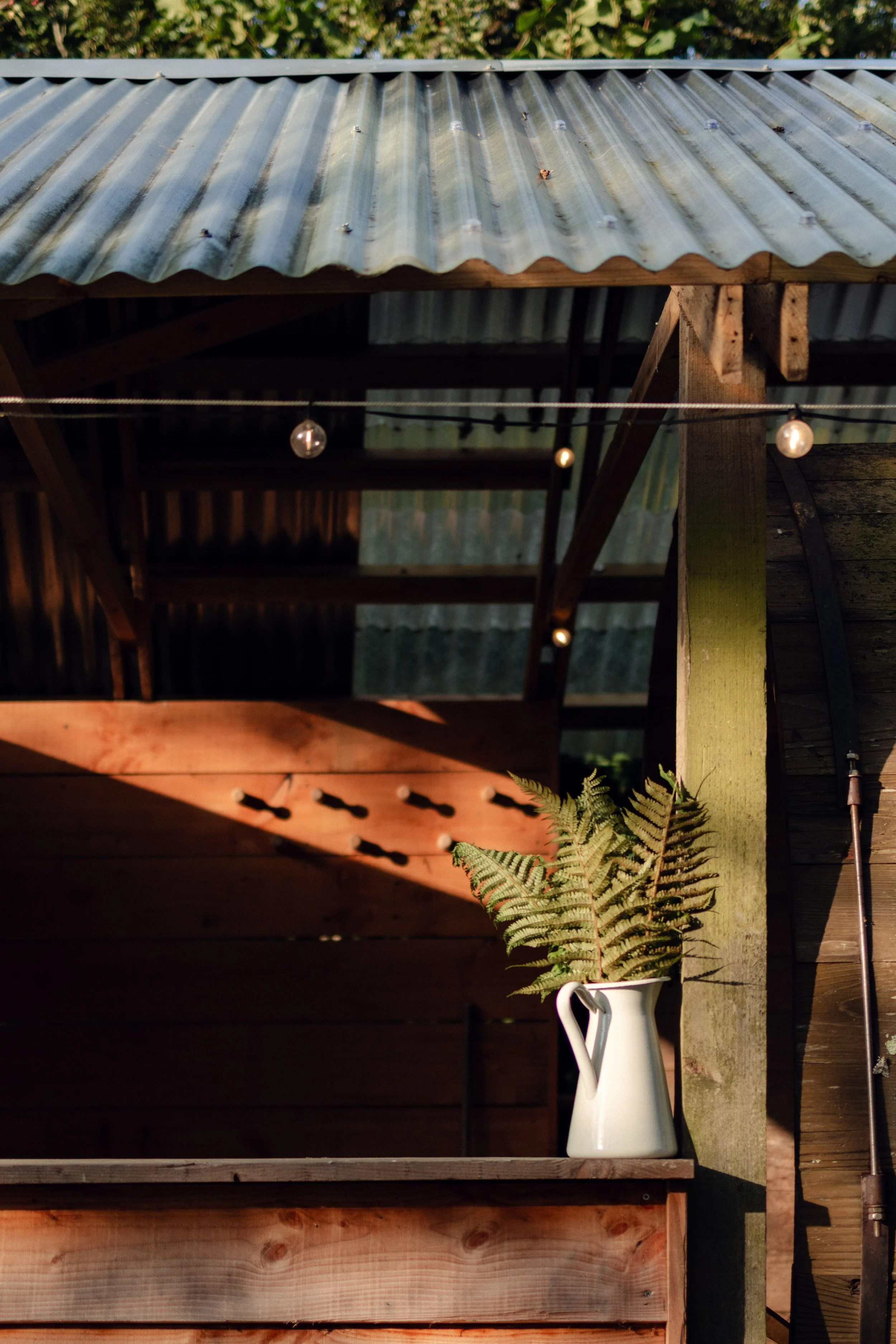 7M1A0107- BrookAurora Fforest_.jpg