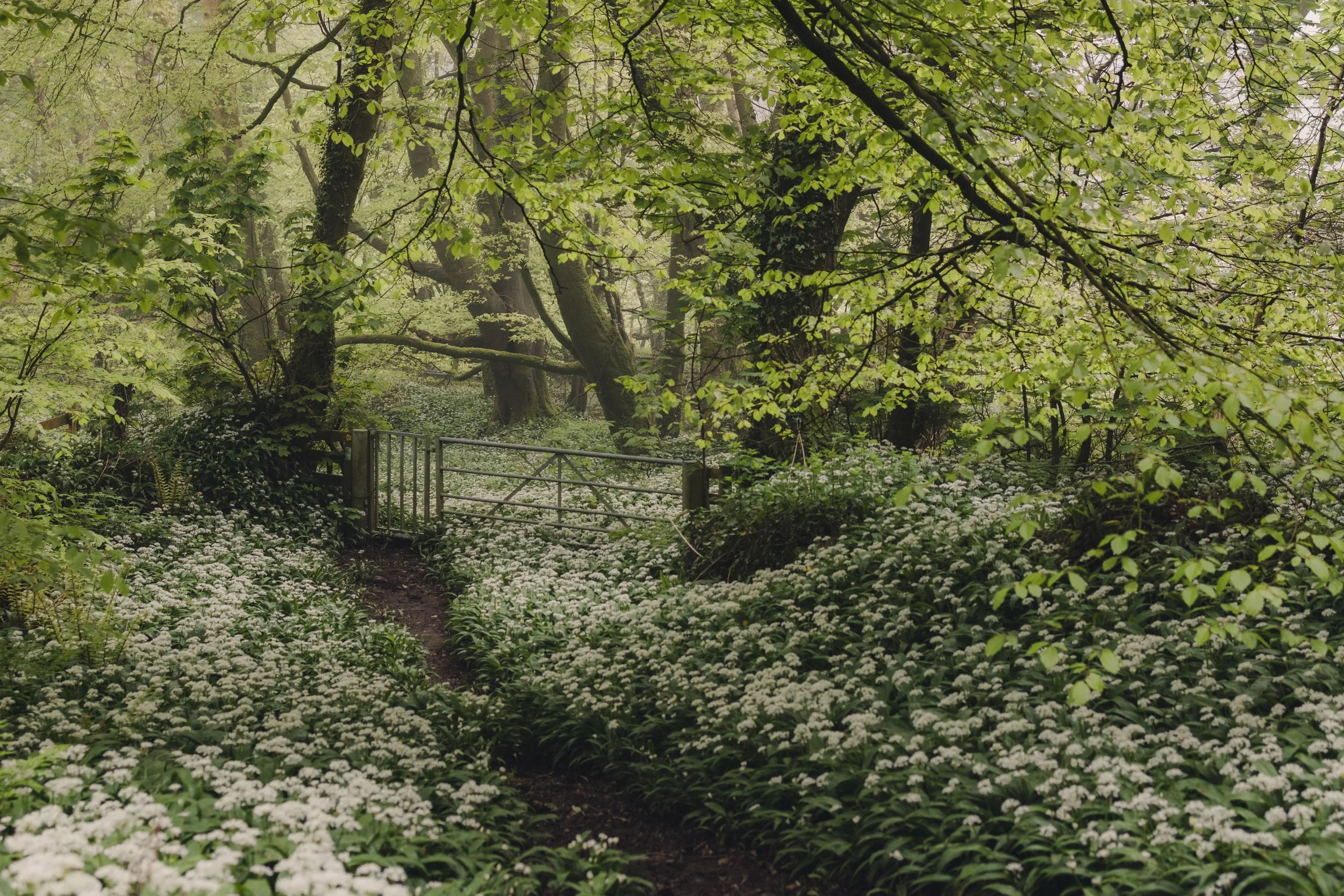 Brook Aurora Pembrokeshire-29.jpg