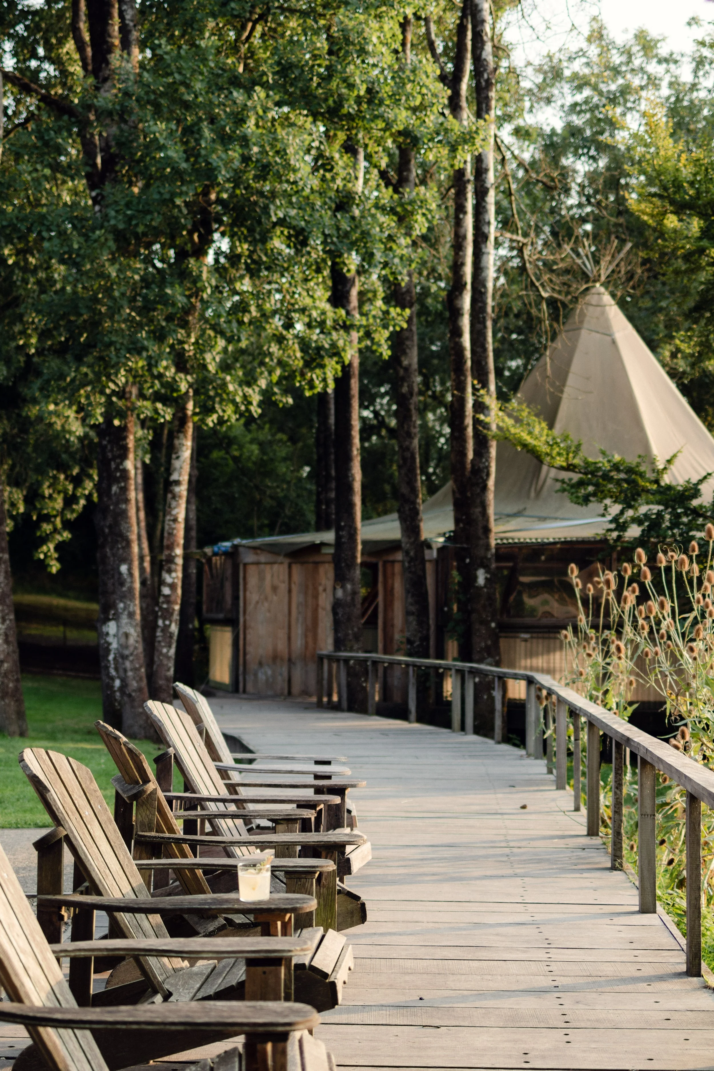 7M1A0237- BrookAurora Fforest_.jpg