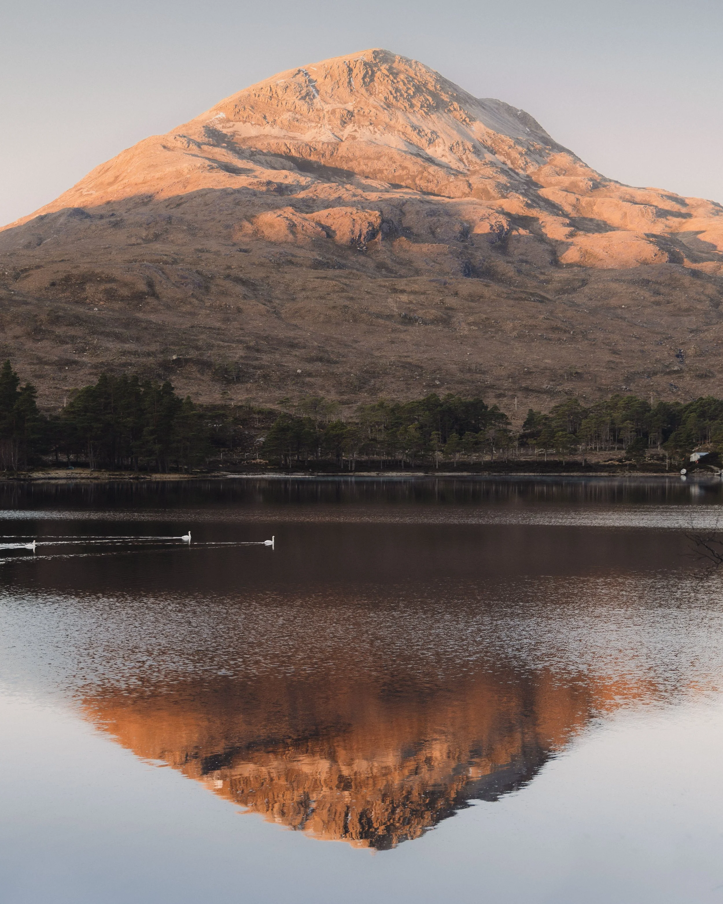 Brook Aurora Travel-64.jpg