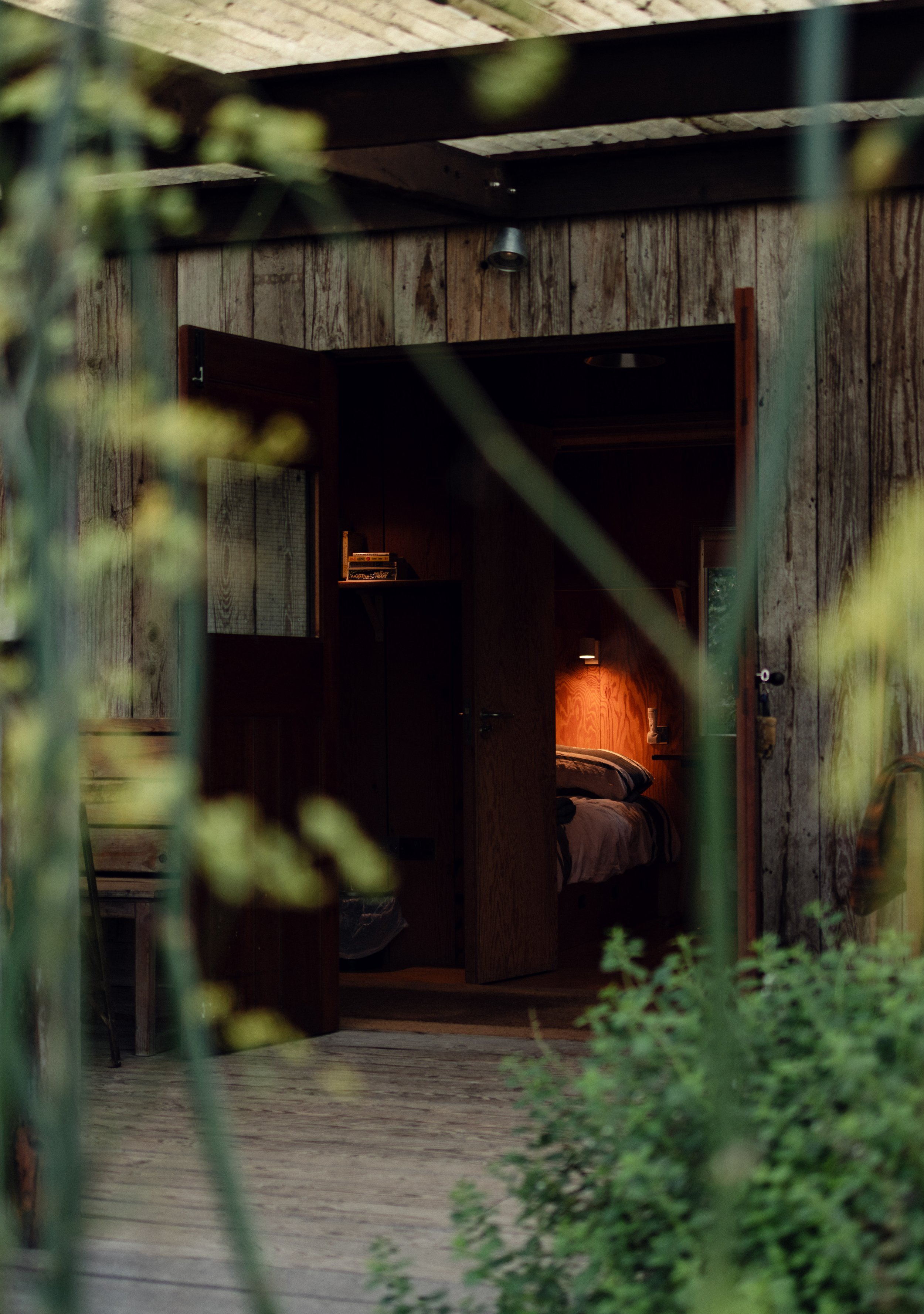 7M1A0393- BrookAurora Fforest_.jpg