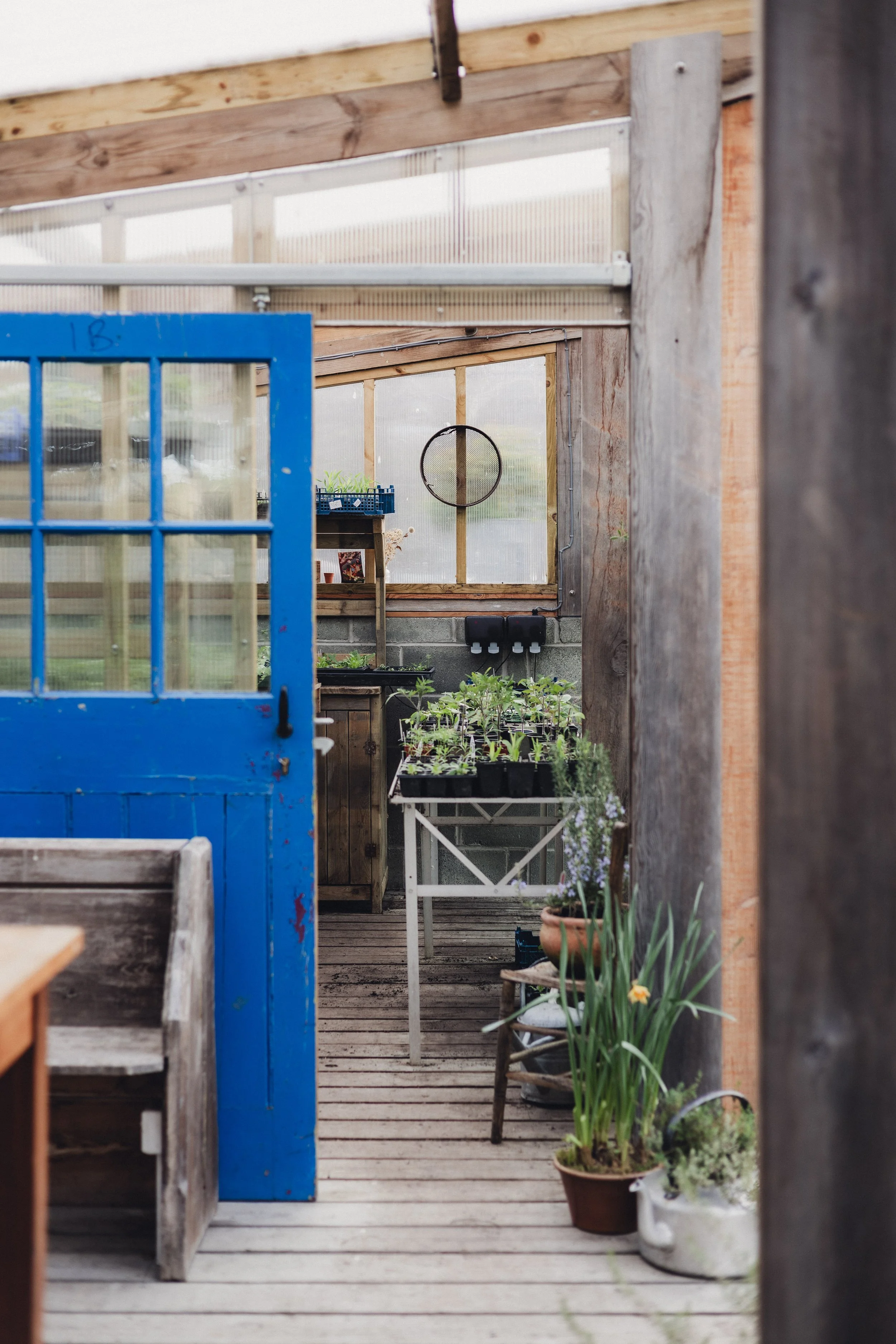 Brook Aurora - Fforest Spring Garden-7.jpg