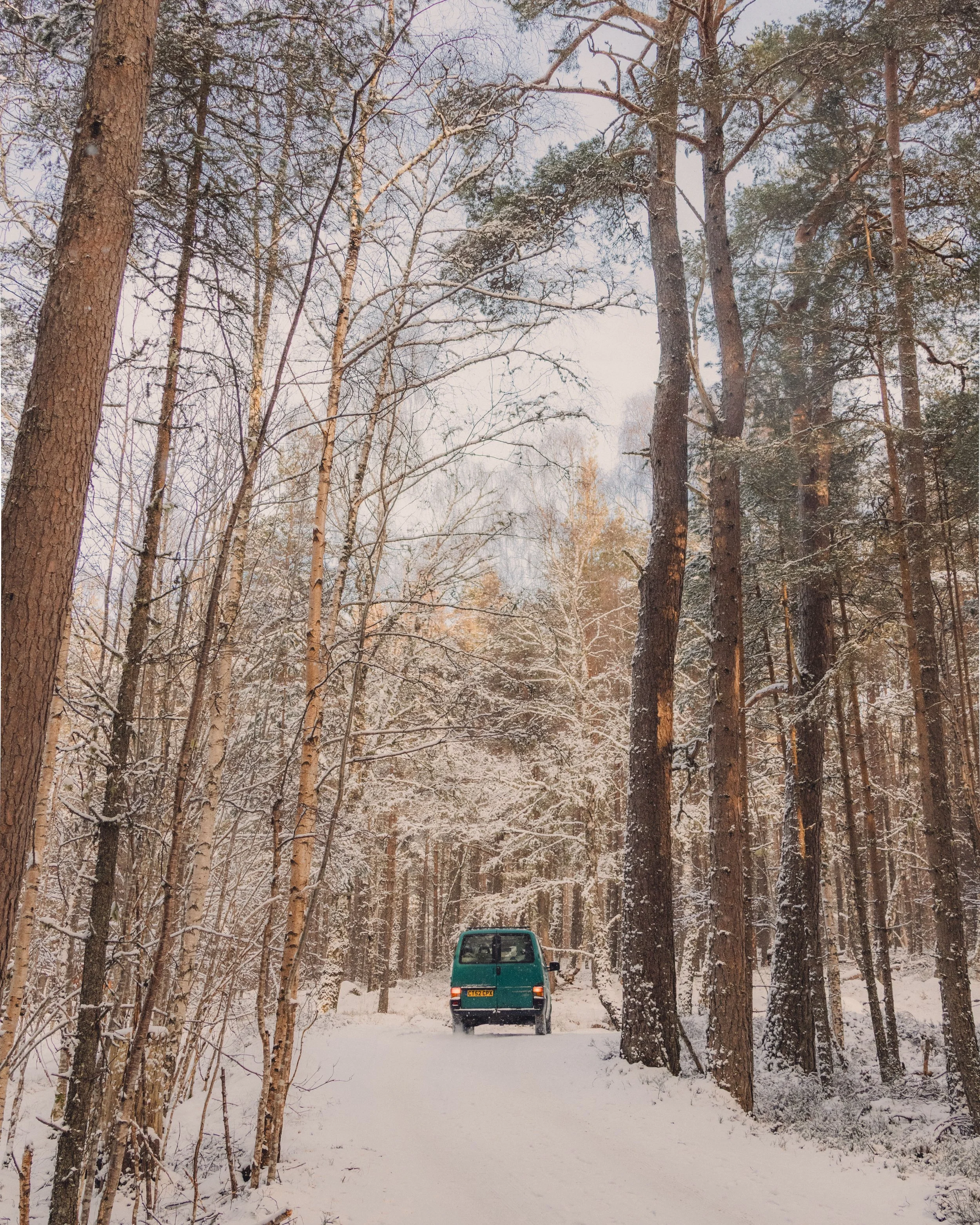 Brook Aurora Travel-17.jpg