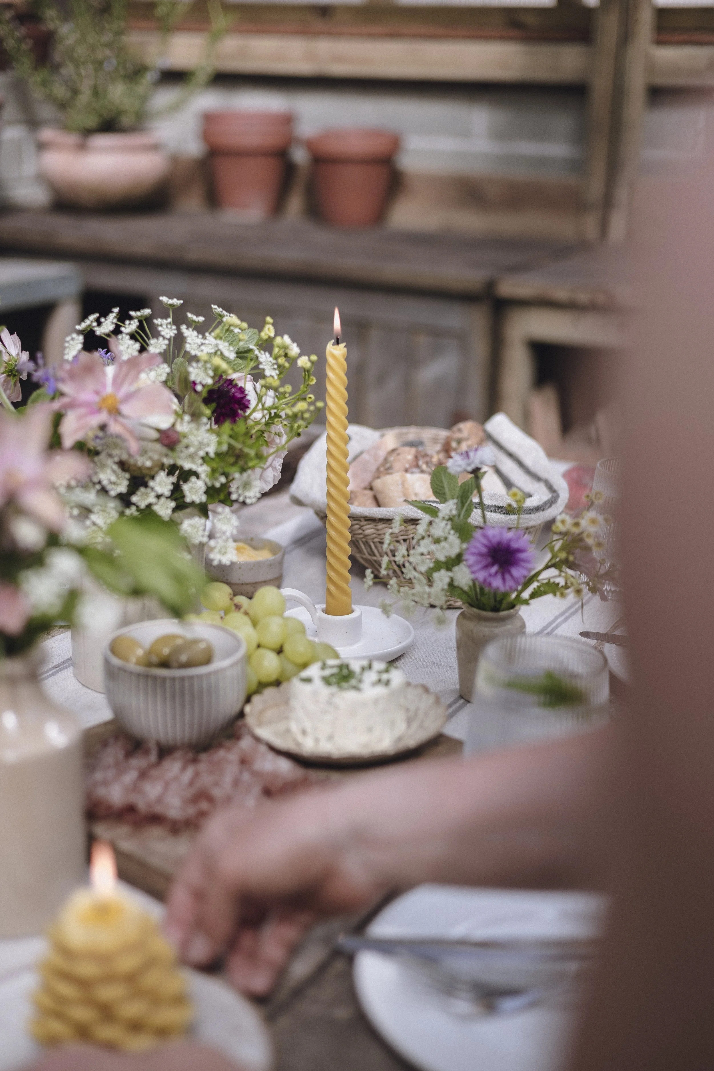 Brook Aurora - Wenyn-7.jpg