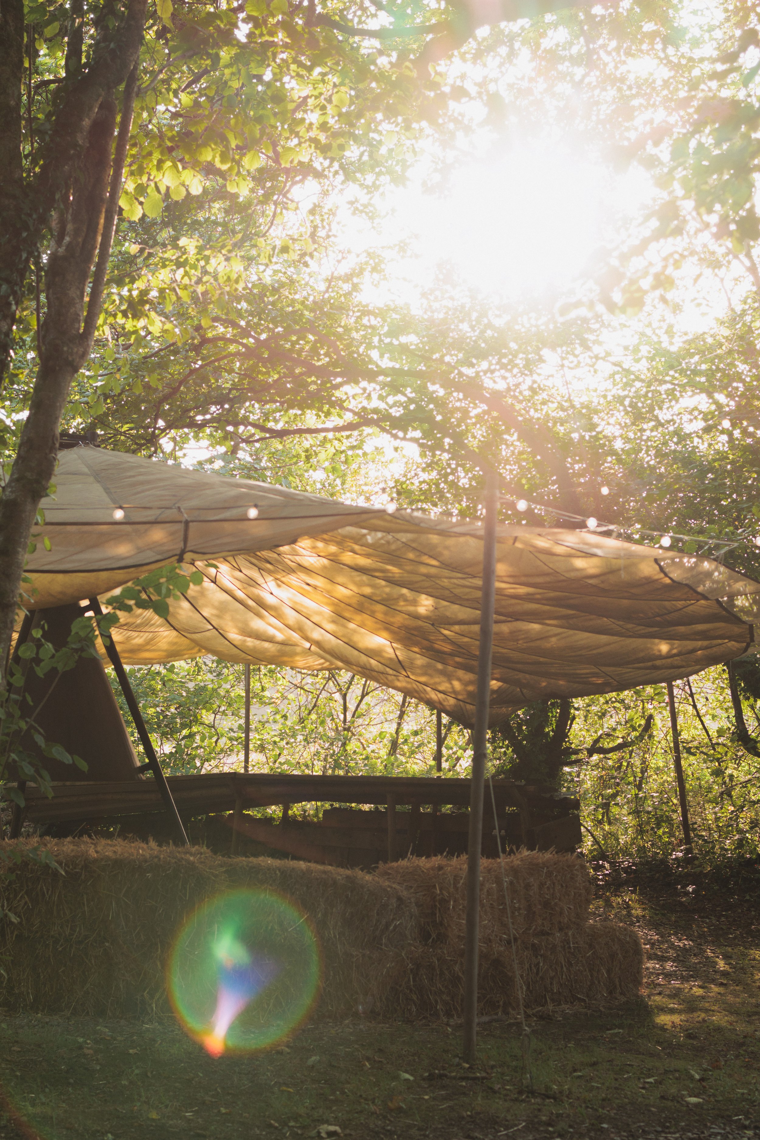 7M1A0167- BrookAurora Fforest_.jpg