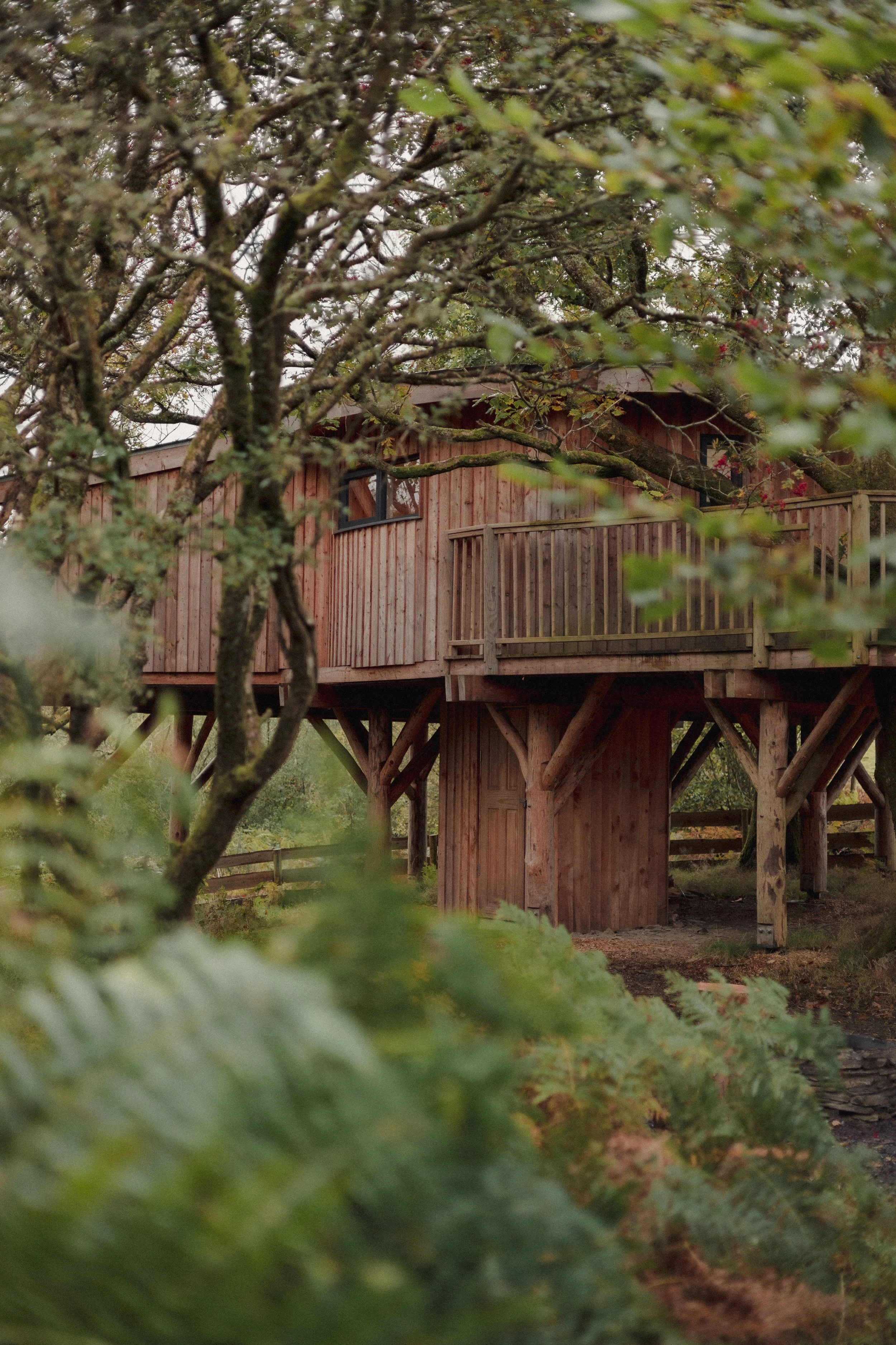 Brook Aurora pembrokeshire-29.jpg