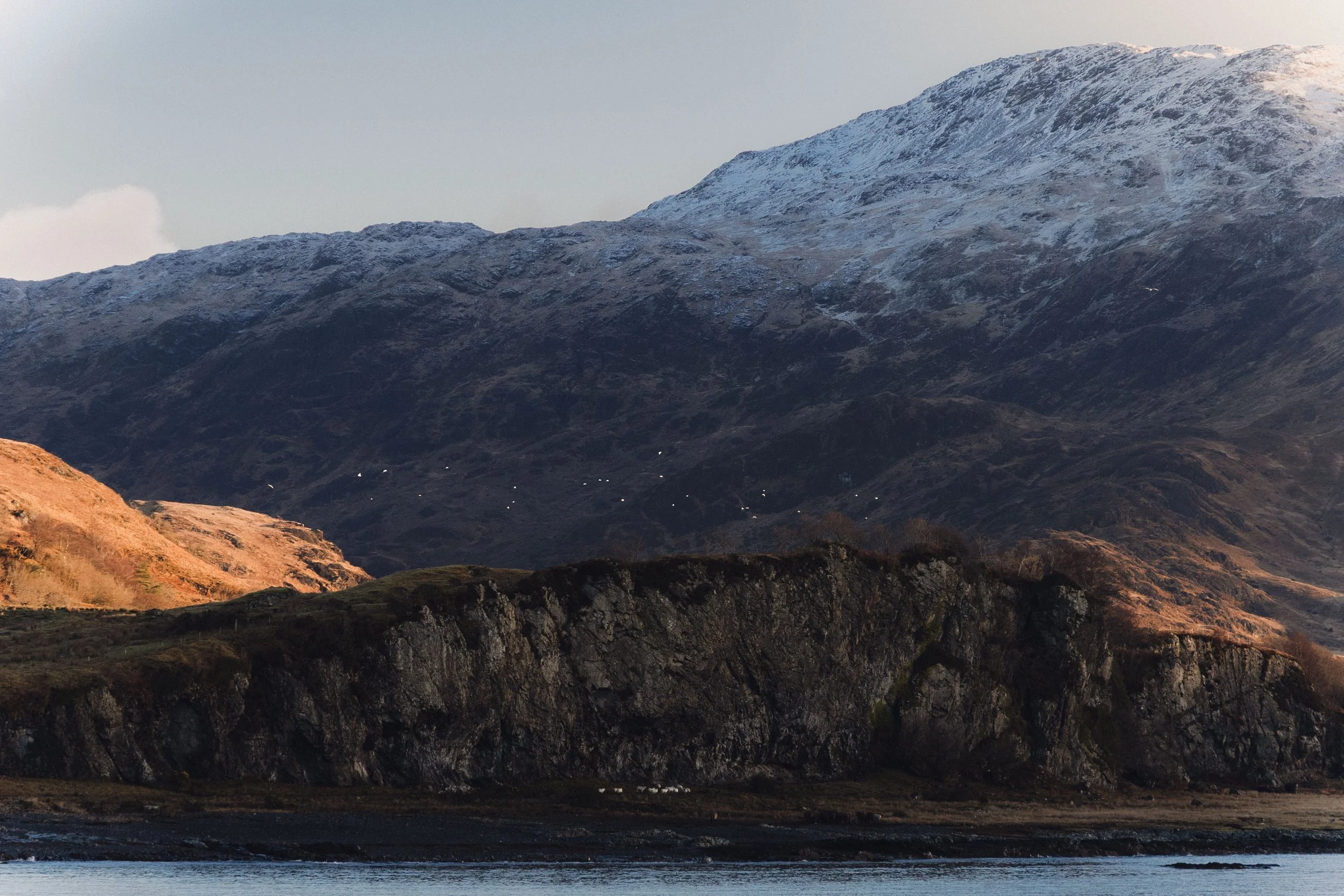 Brook Aurora Travel-83.jpg