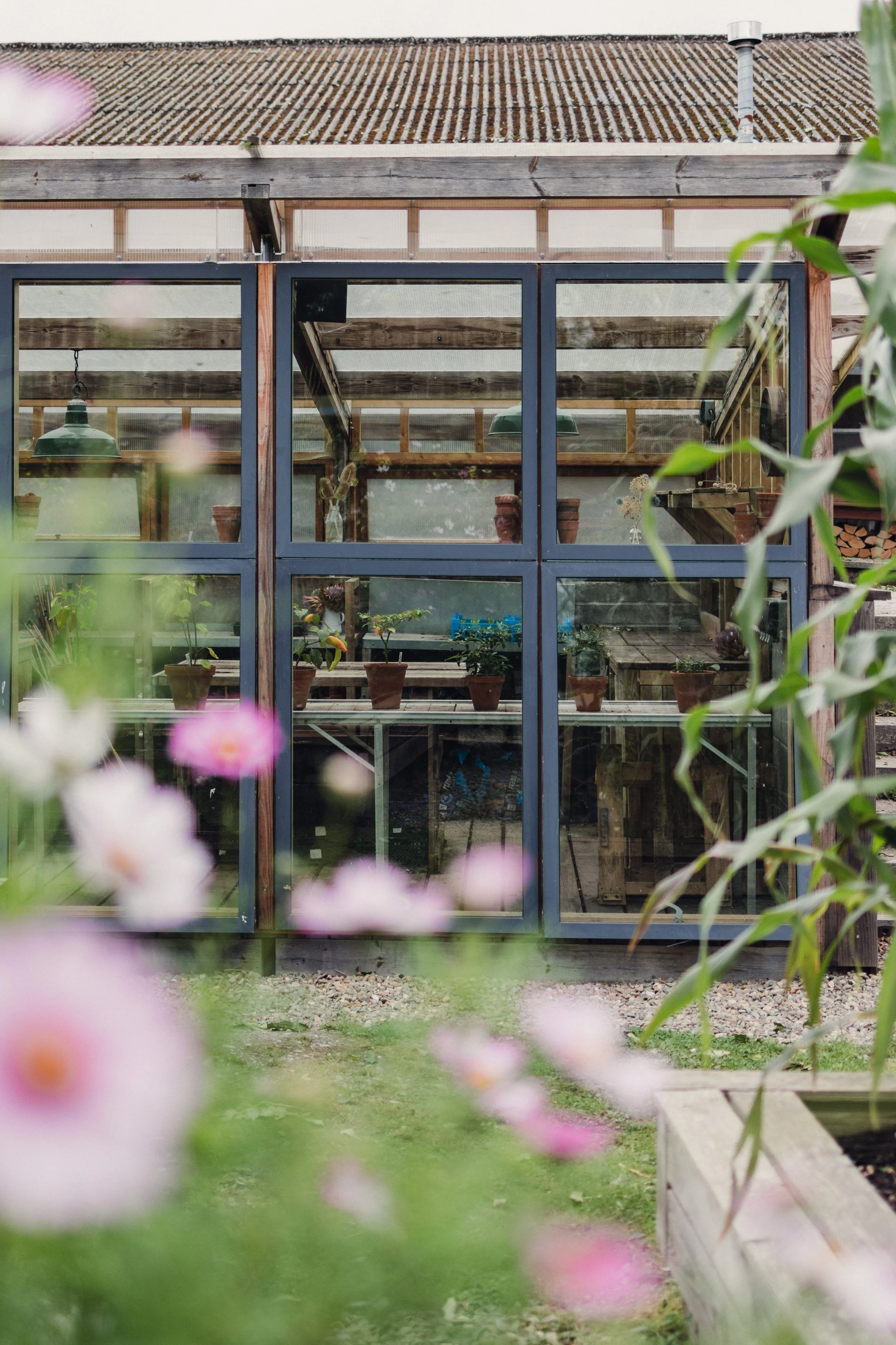 7M1A0790- BrookAurora Fforest_.jpg