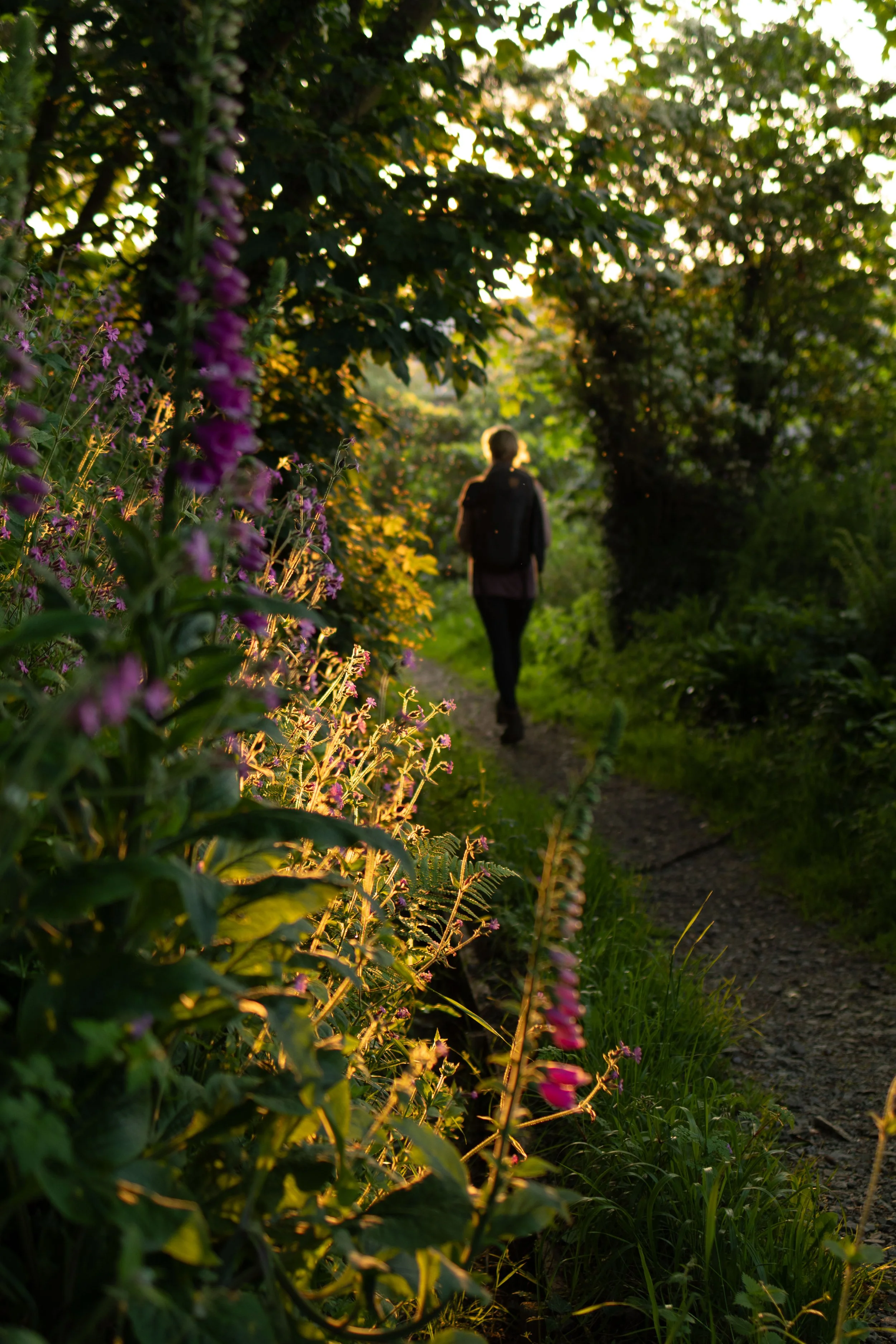 Brook Aurora Pembrokeshire-51.jpg