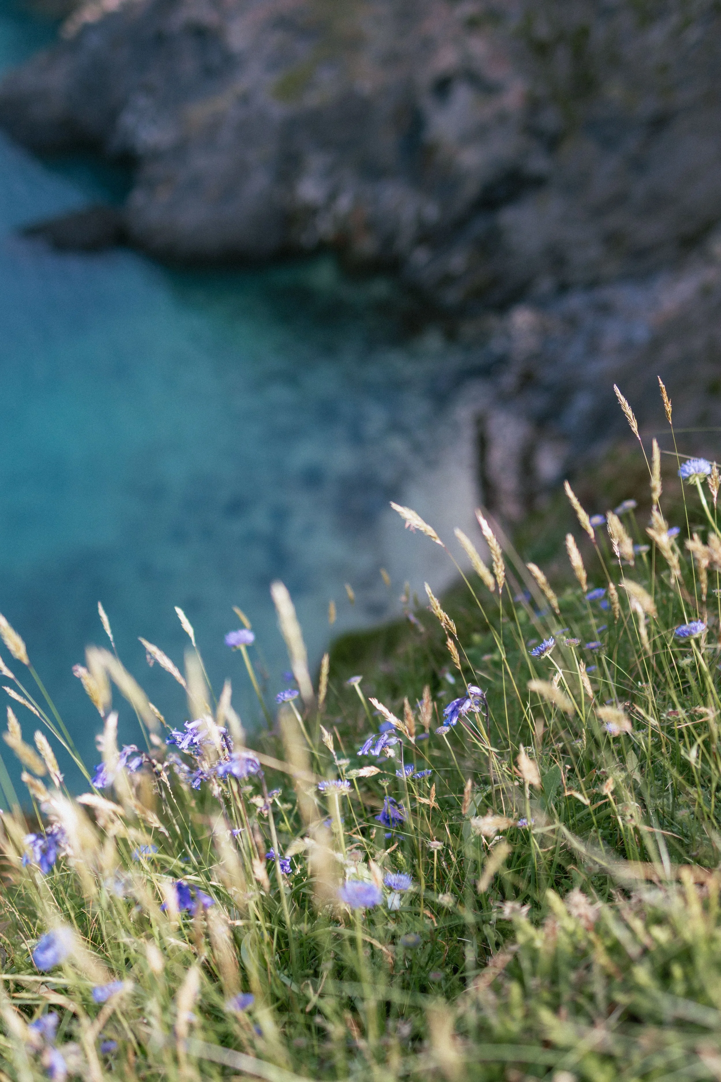 Brook Aurora Pembrokeshire-42.jpg