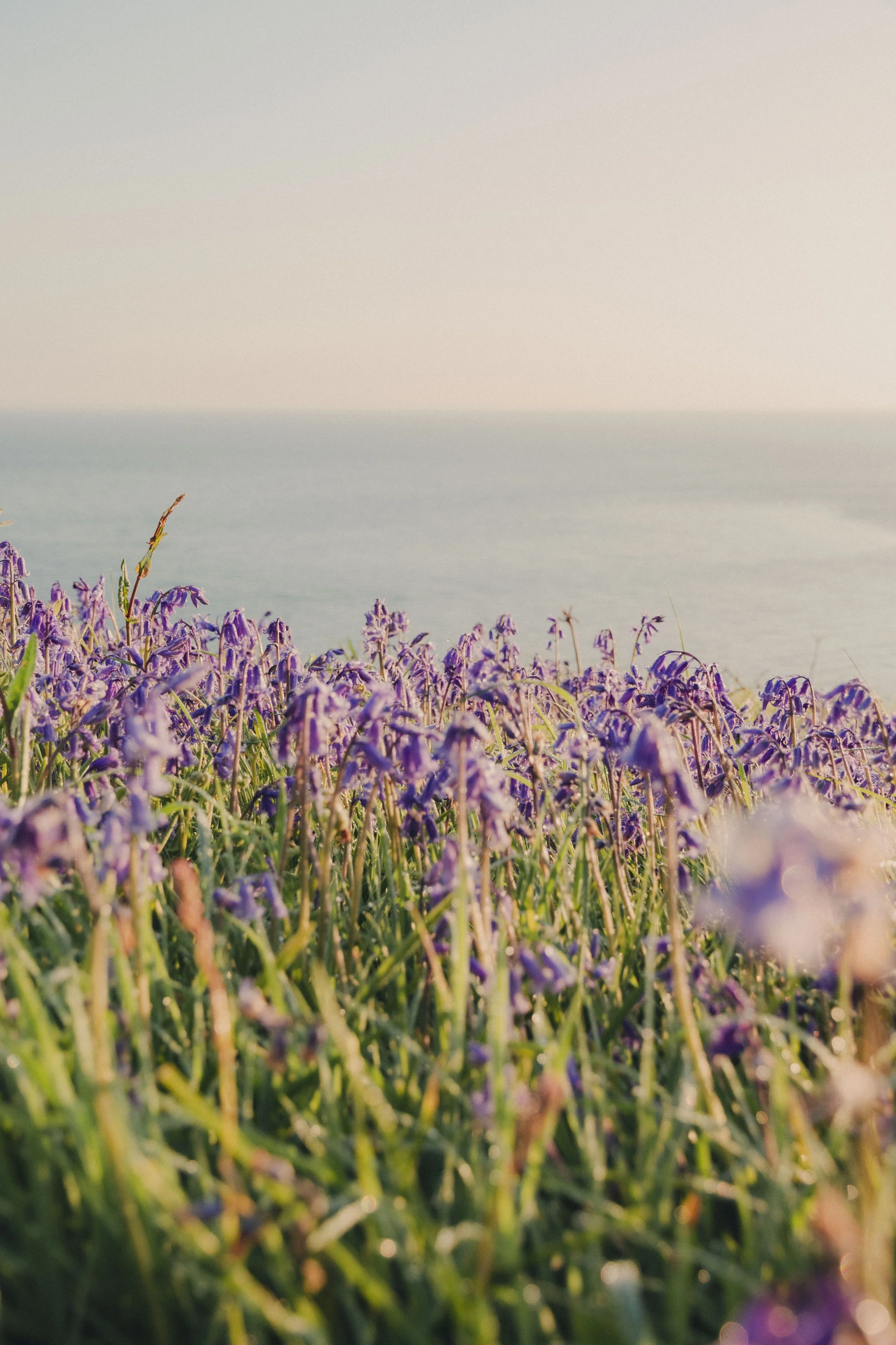 Brook Aurora Pembrokeshire-63.jpg