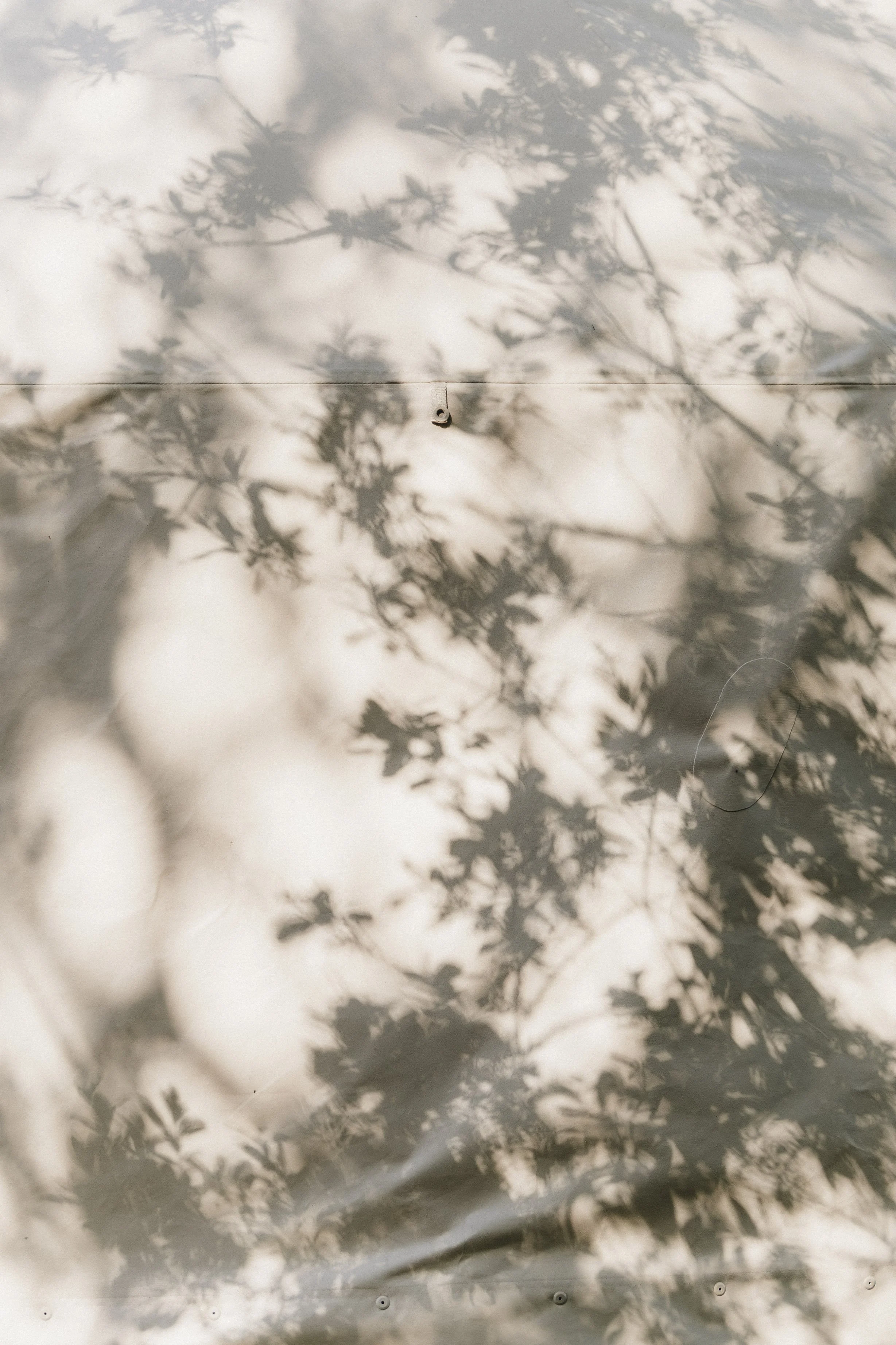 Brook Aurora - Fforest Spring Around Camp.jpg