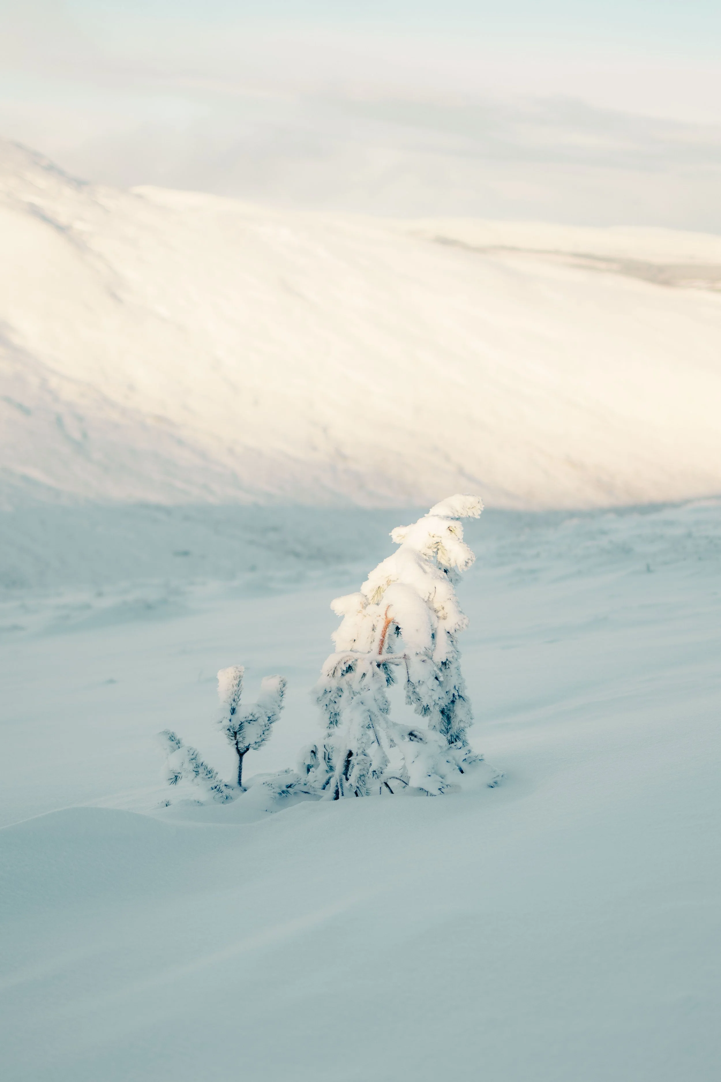 Brook Aurora Travel-12.jpg