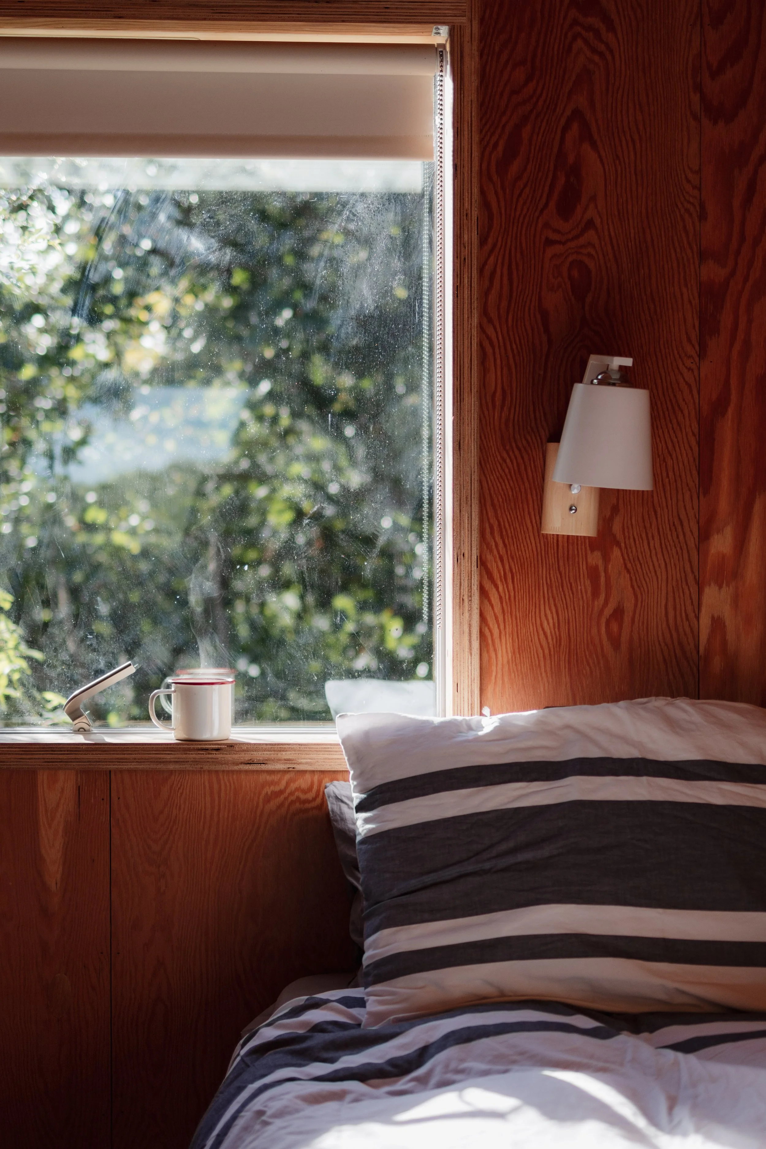 7M1A1075- BrookAurora Fforest_.jpg