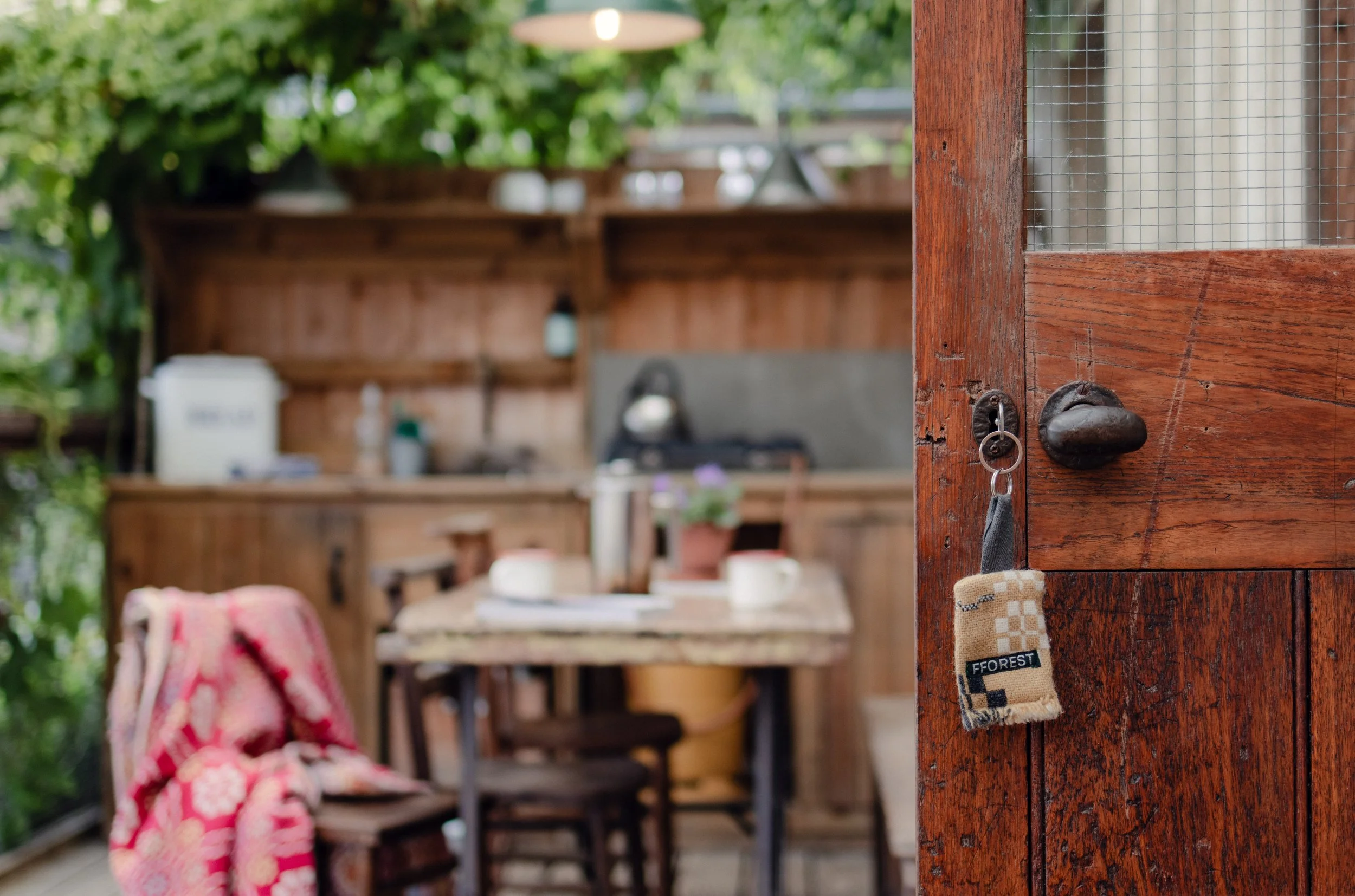 7M1A0999- BrookAurora Fforest_.jpg