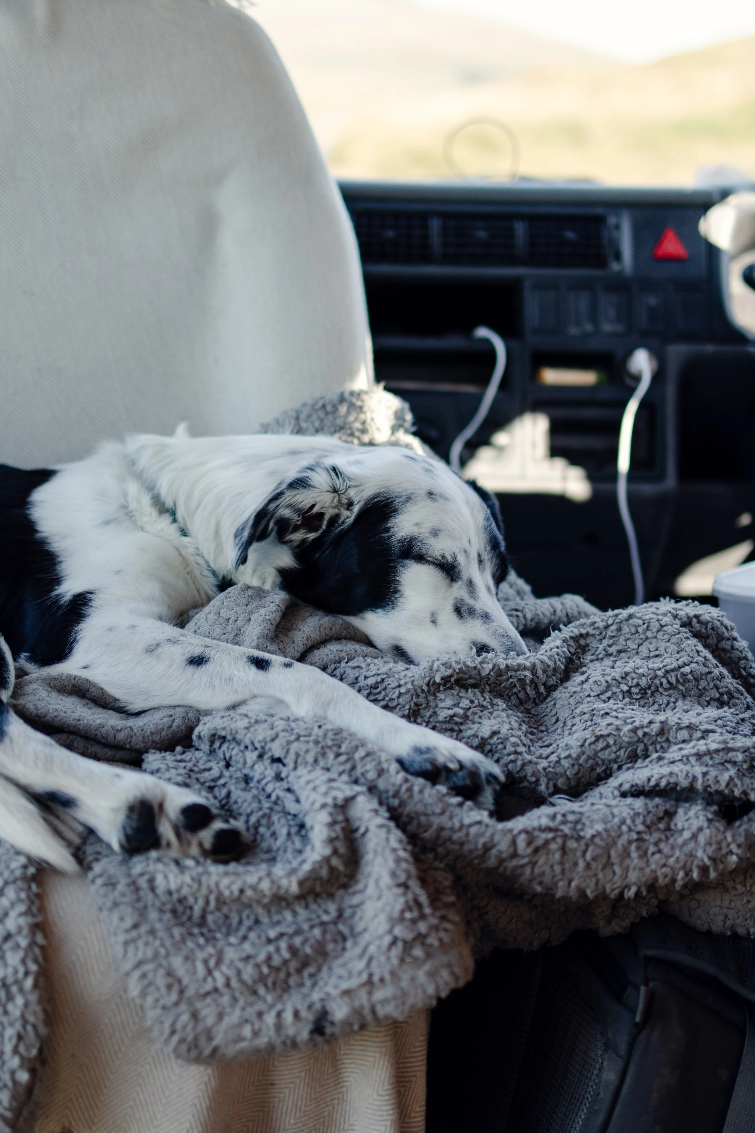 7M1A5808- BrookAurora Pembrokeshire.jpg