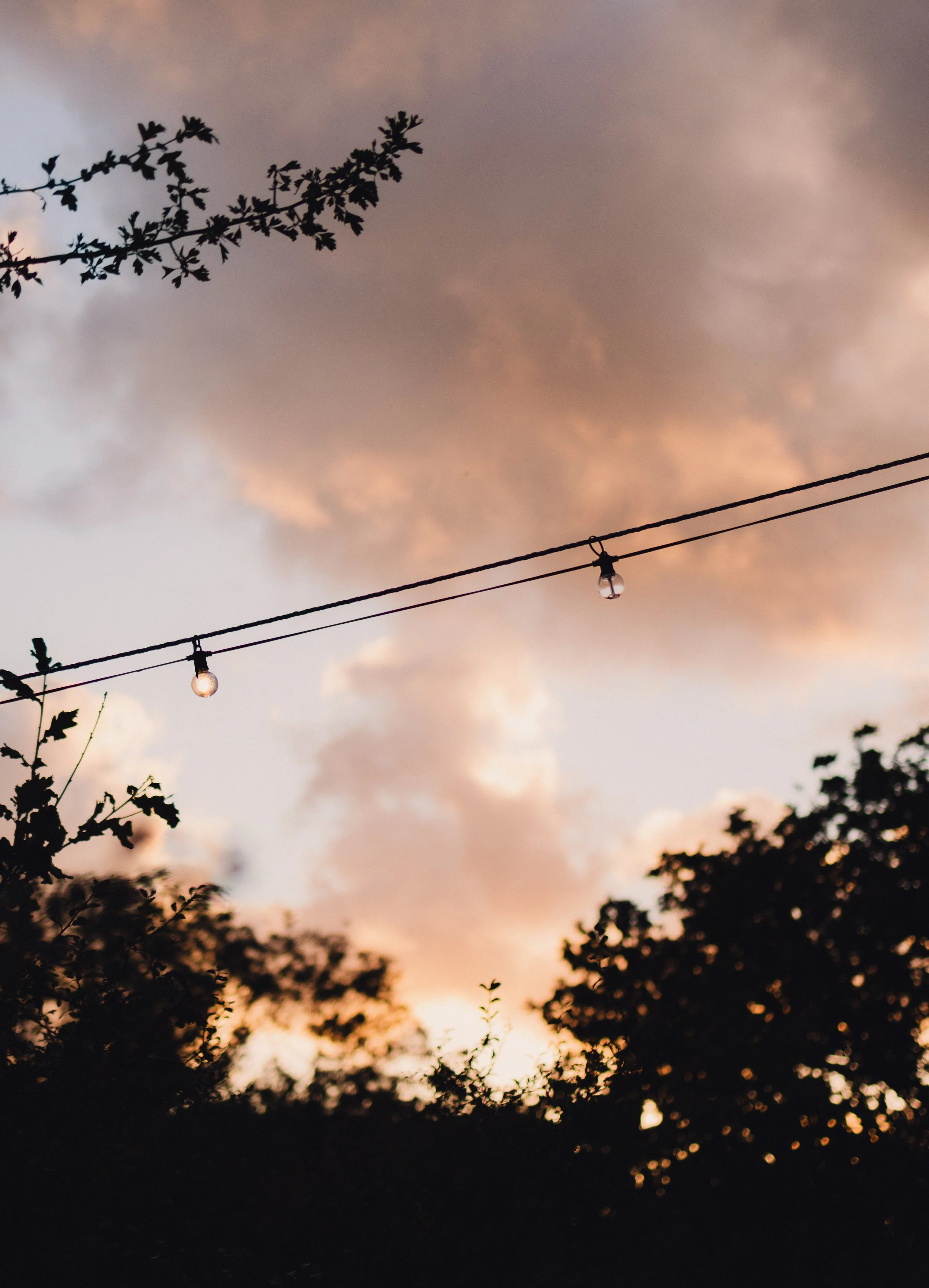 7M1A1240- BrookAurora Fforest_.jpg