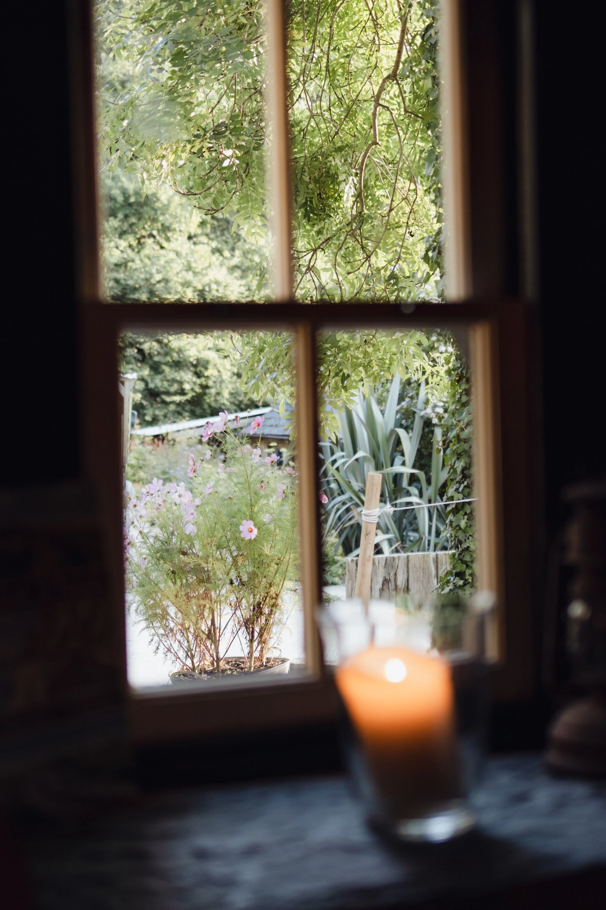 7M1A0187- BrookAurora Fforest_.jpg