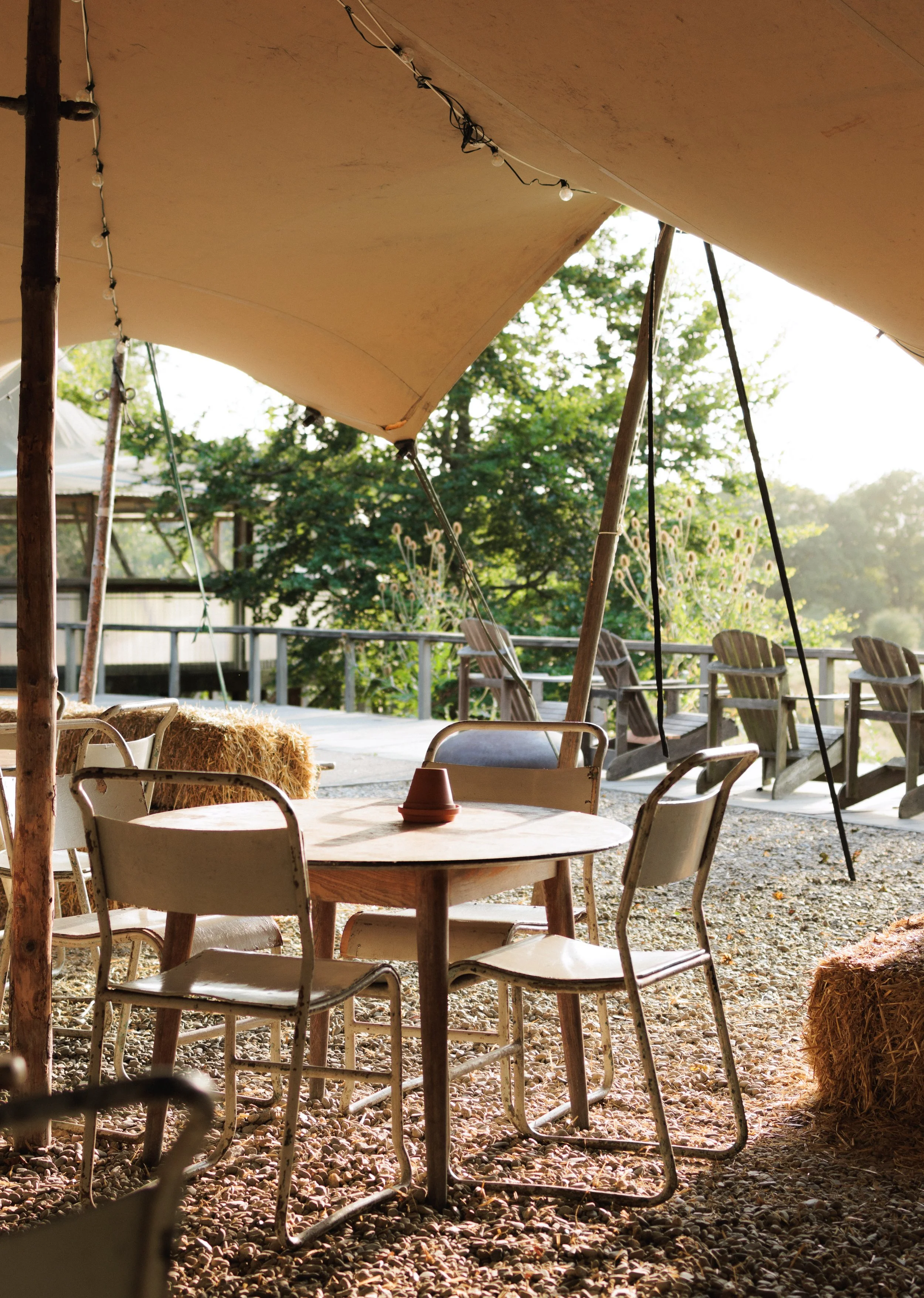 7M1A0174- BrookAurora Fforest_.jpg