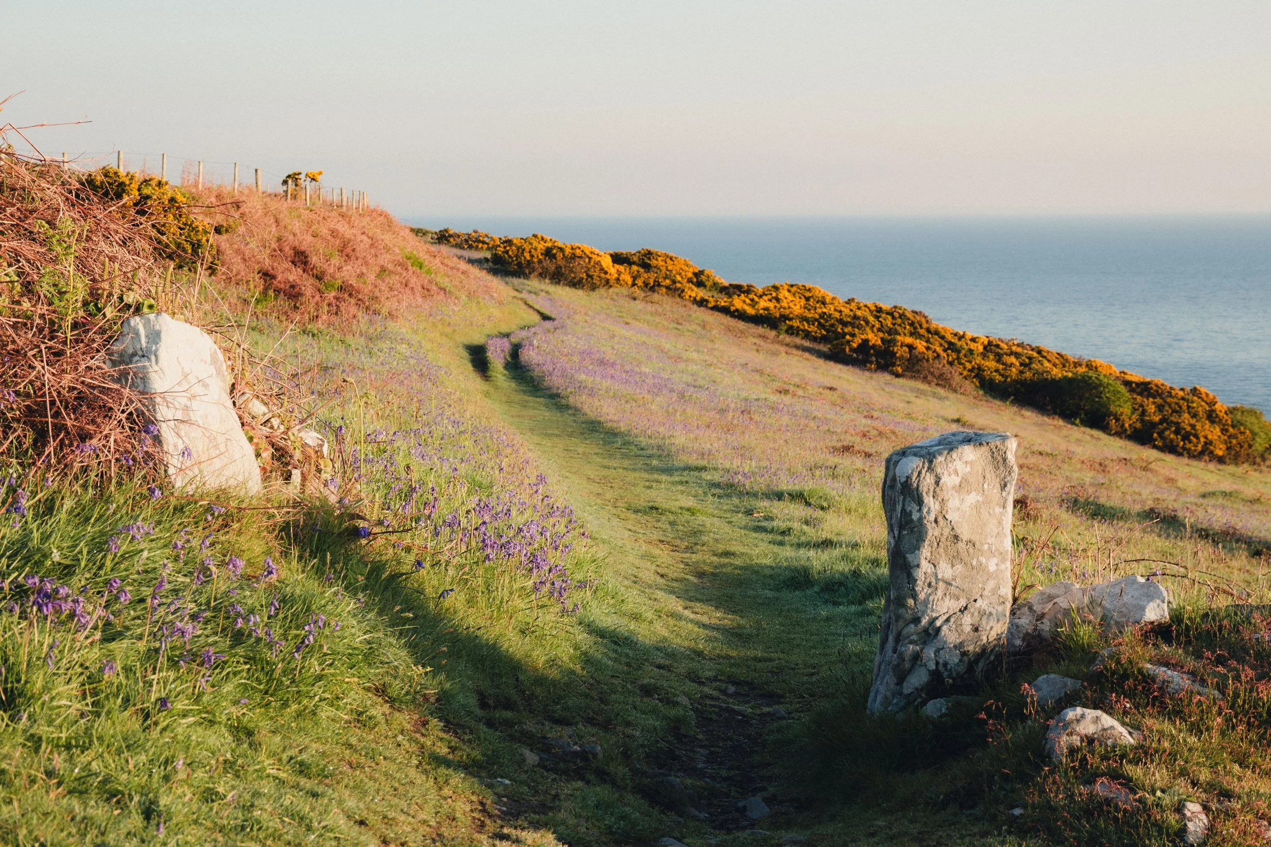 Brook Aurora Pembrokeshire-62.jpg