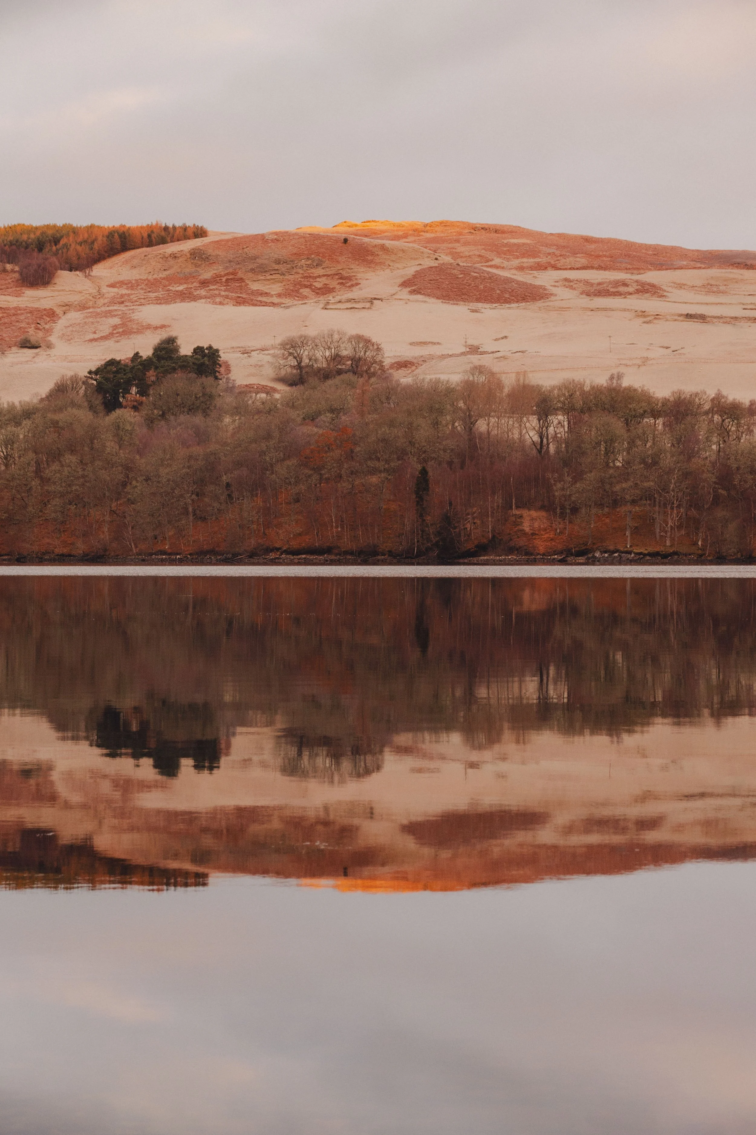 Brook Aurora Travel-85.jpg