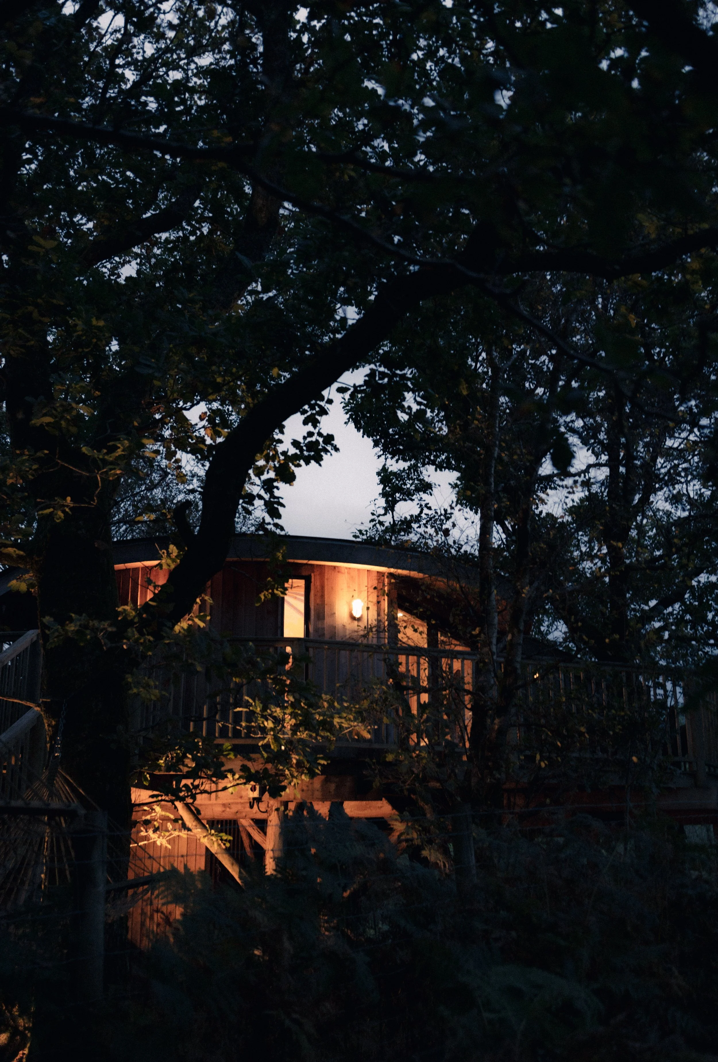 Brook Aurora pembrokeshire-27.jpg