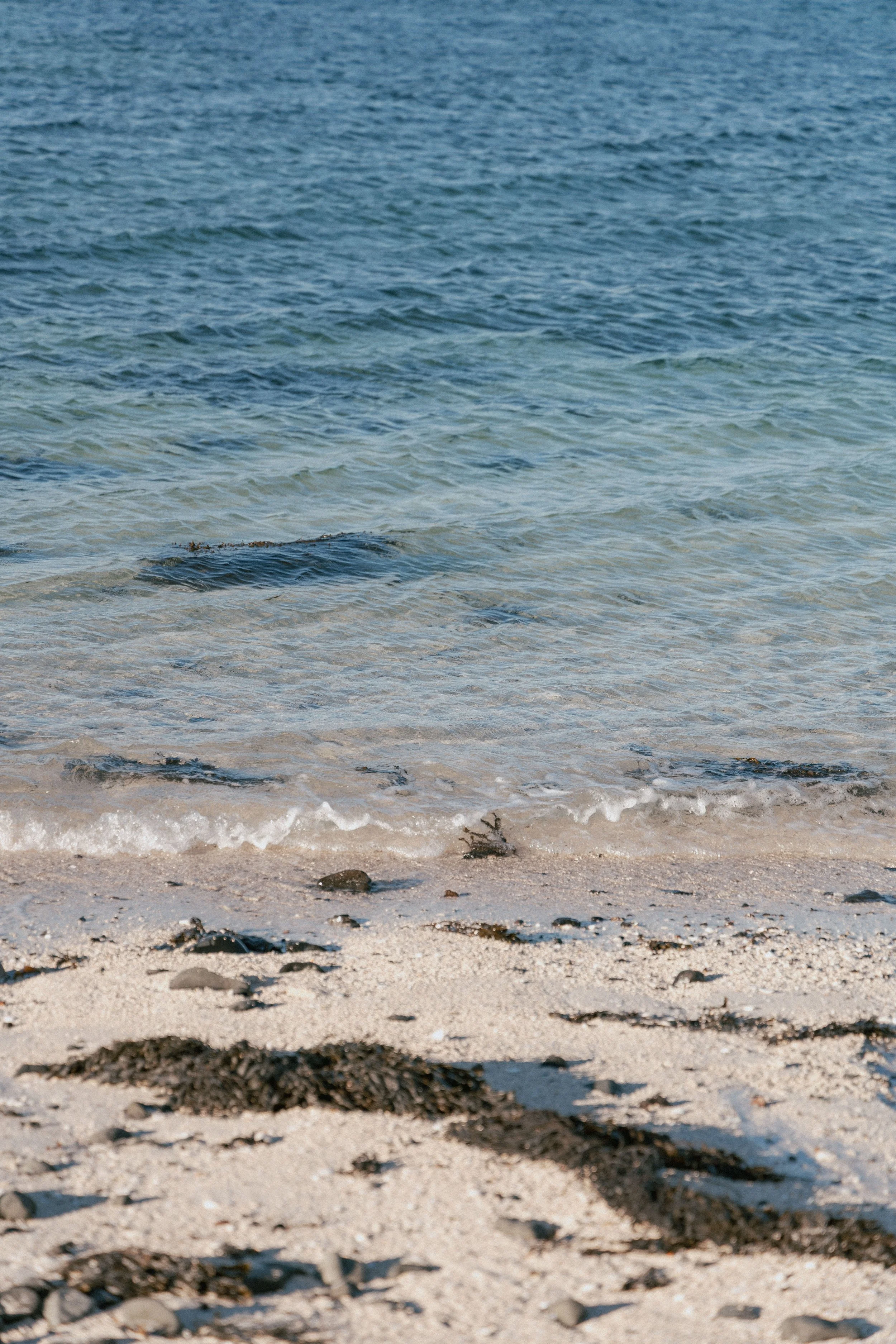 Brook Aurora Travel-48.jpg