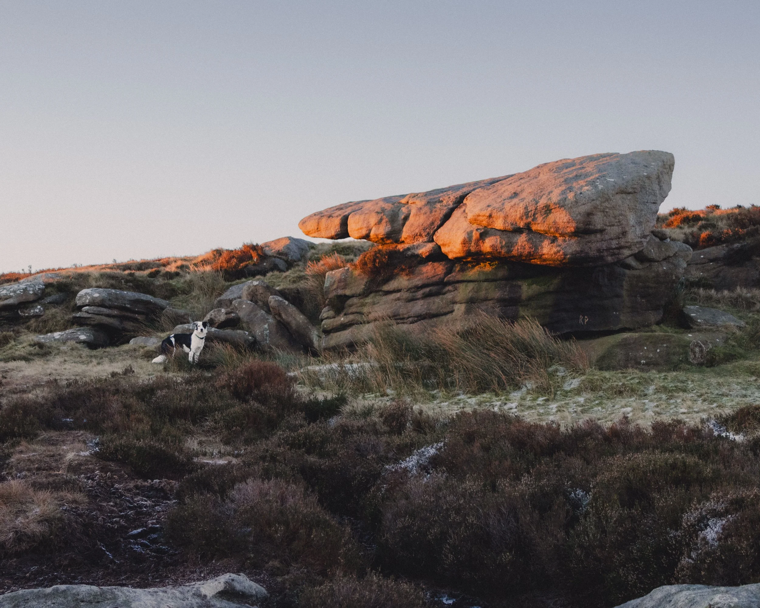 Brook Aurora Travel.jpg