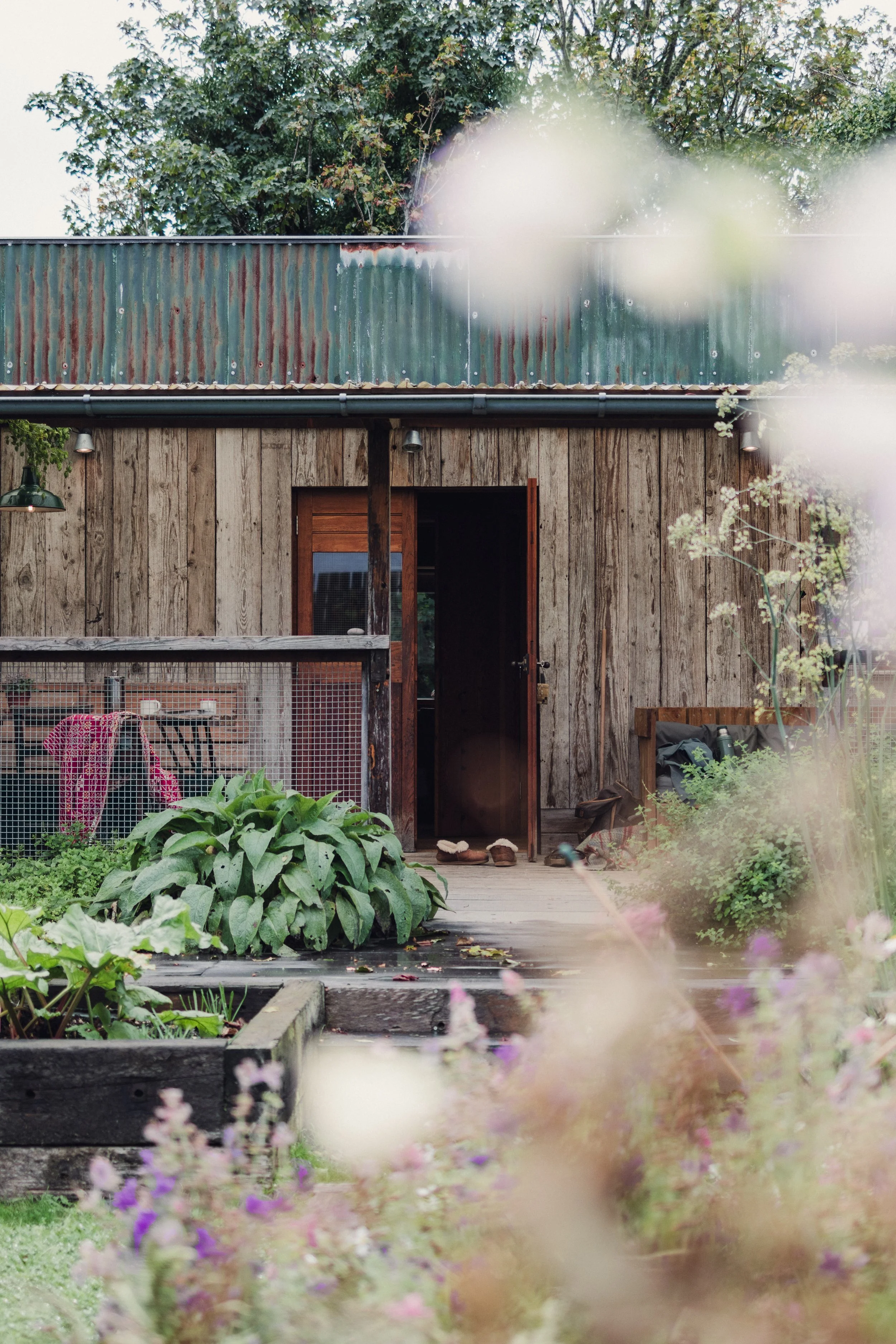 7M1A1028- BrookAurora Fforest_.jpg