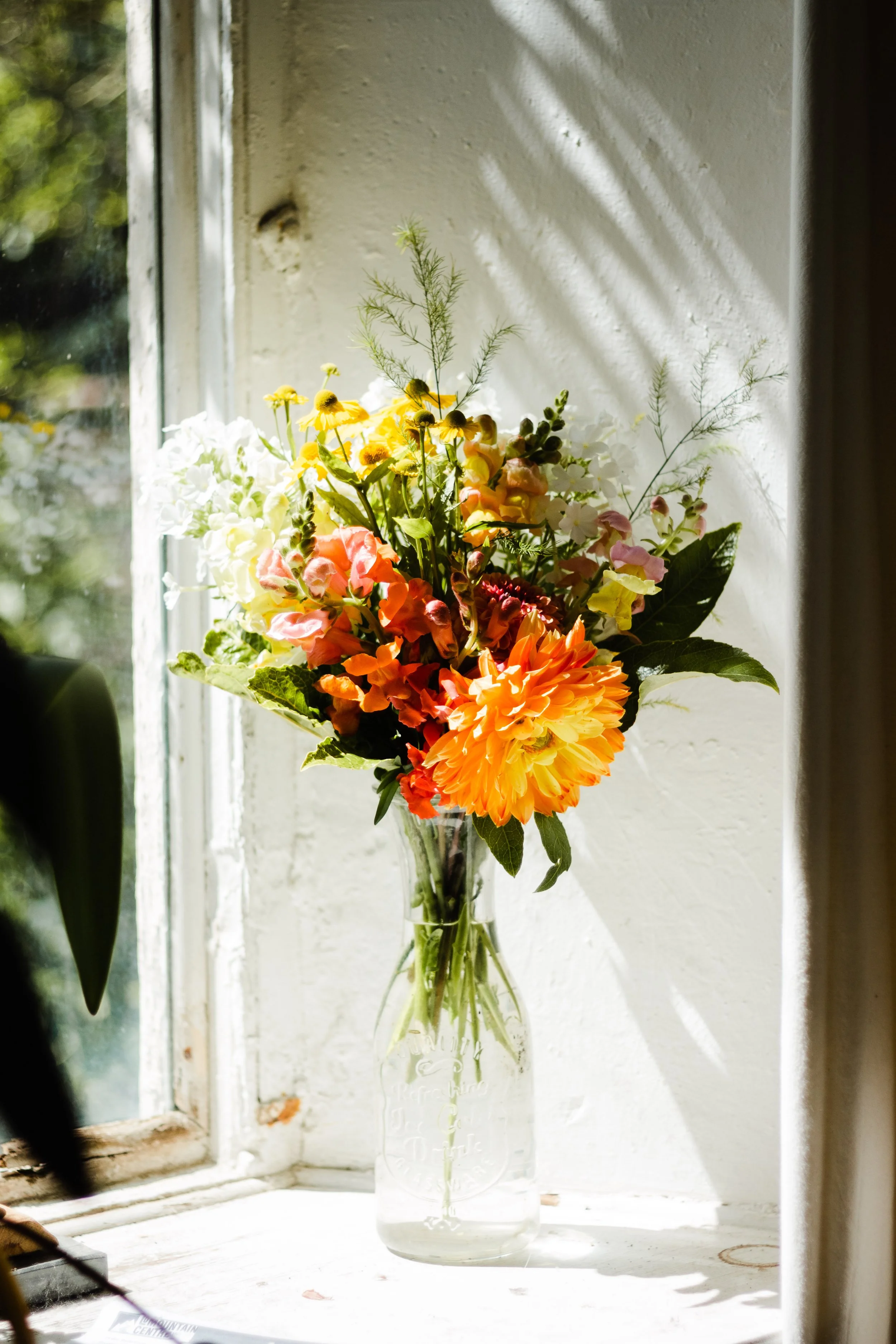 IMG_4202- BrookAurora Pembrokeshire.jpg