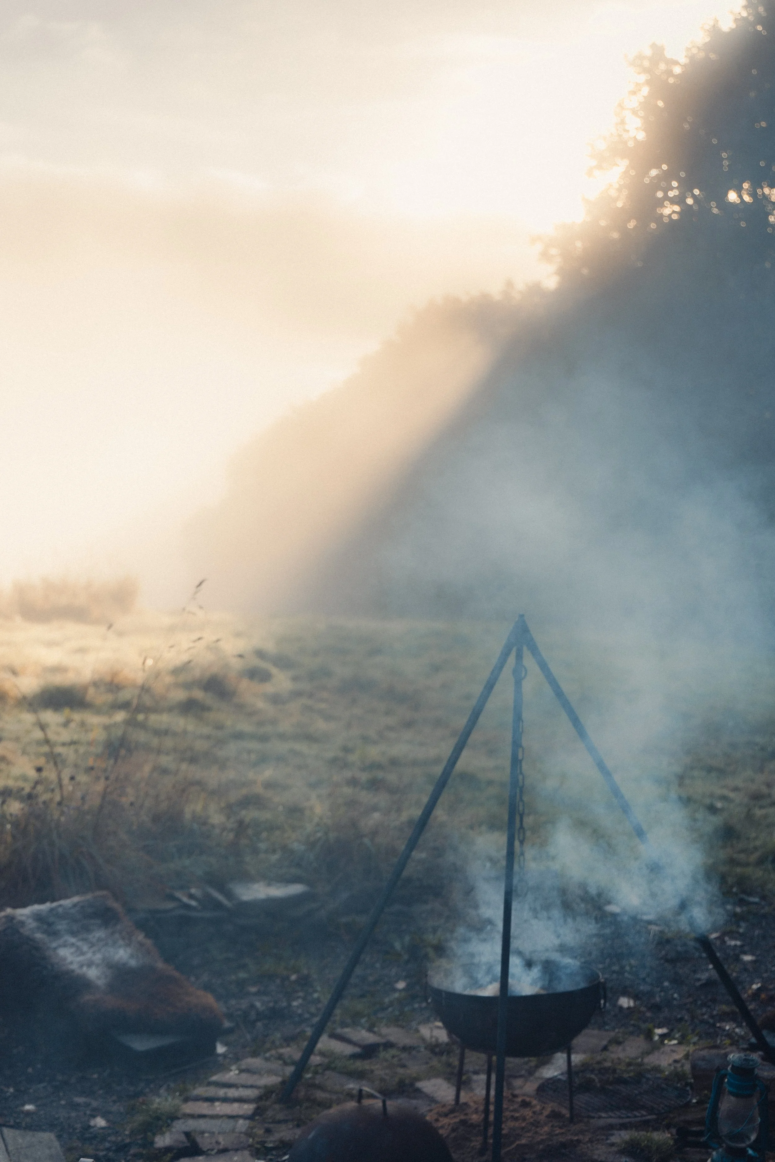 Brook Aurora pembrokeshire-10.jpg