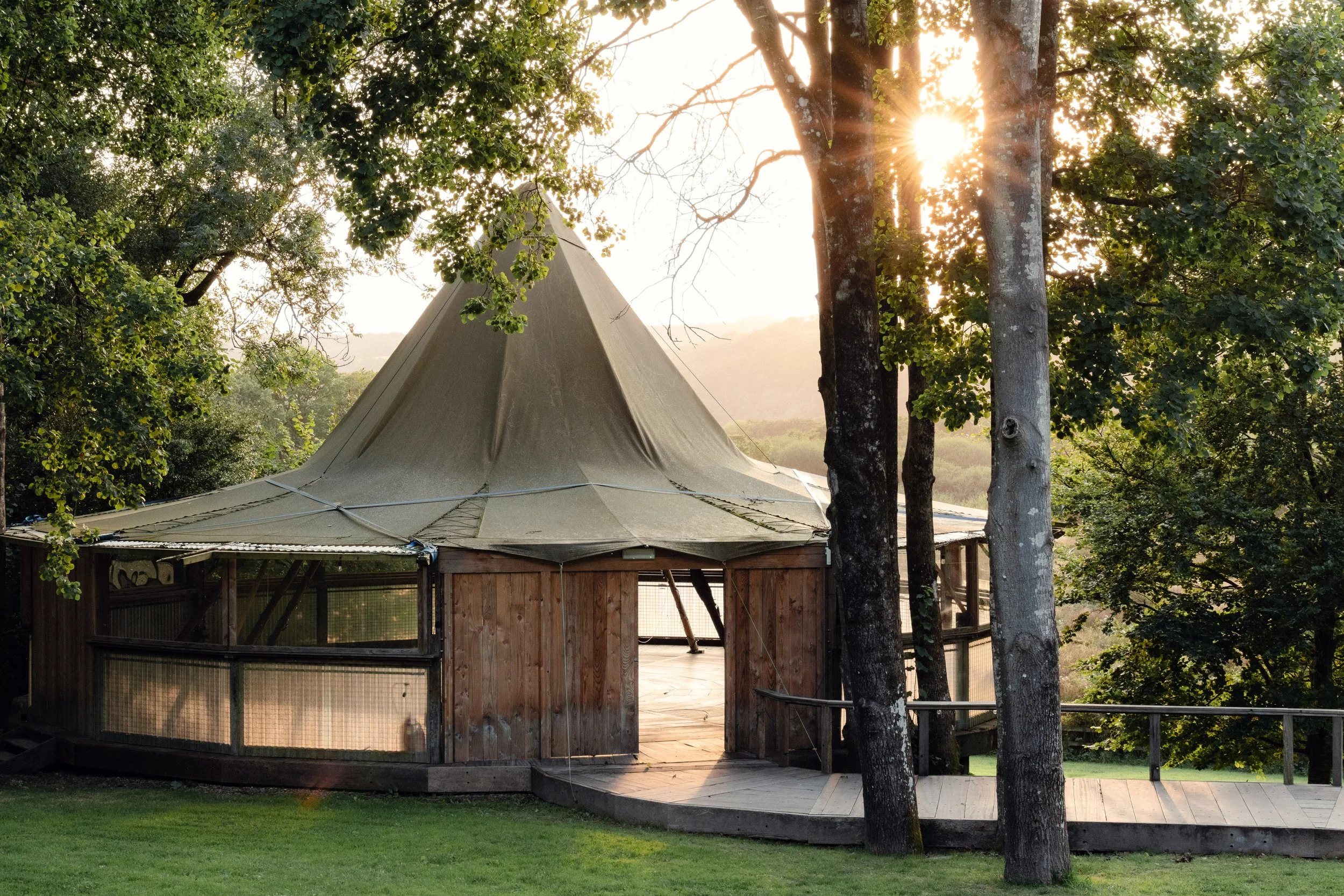 7M1A0313- BrookAurora Fforest_.jpg