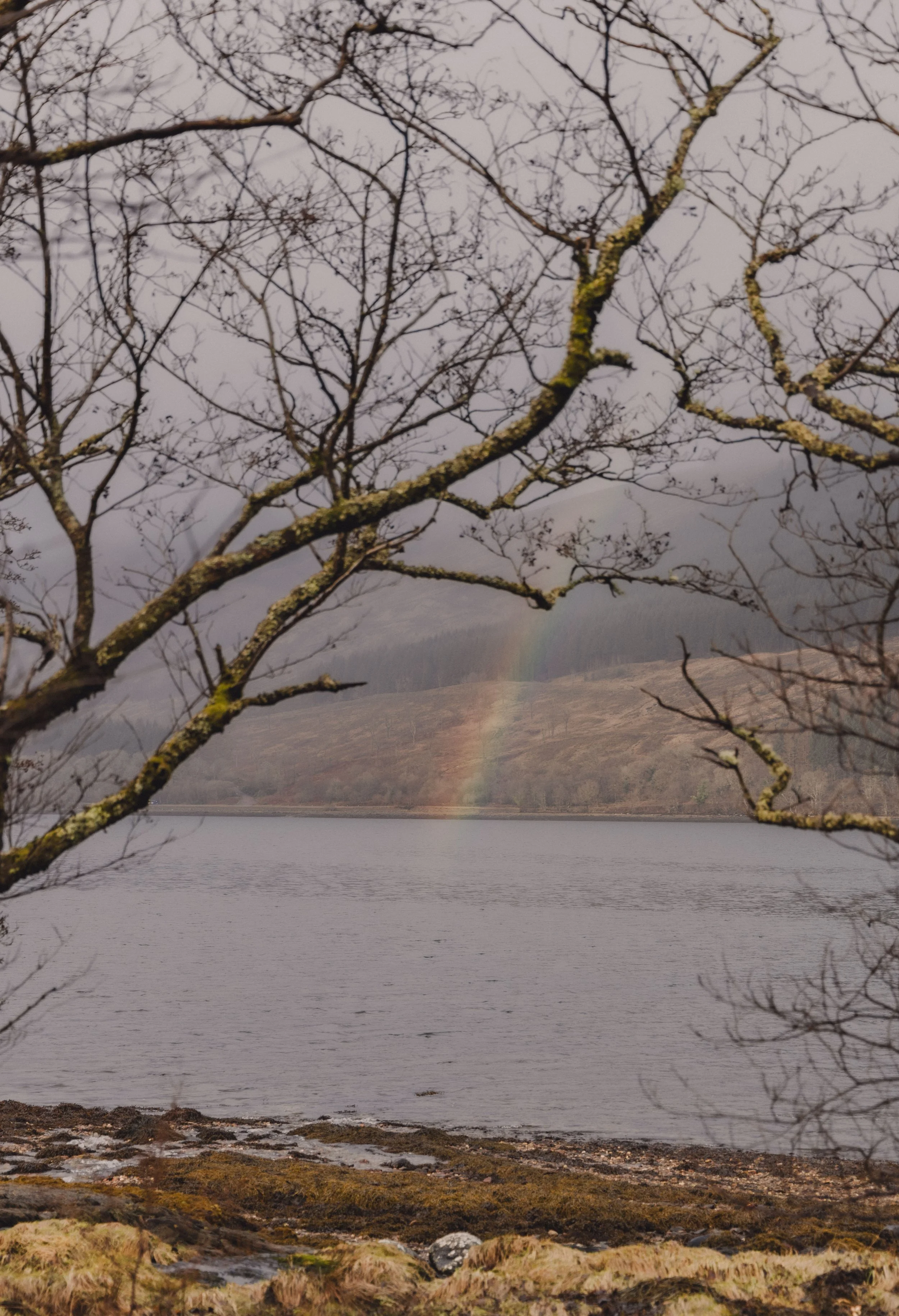 Brook Aurora Kabn Company-40.jpg