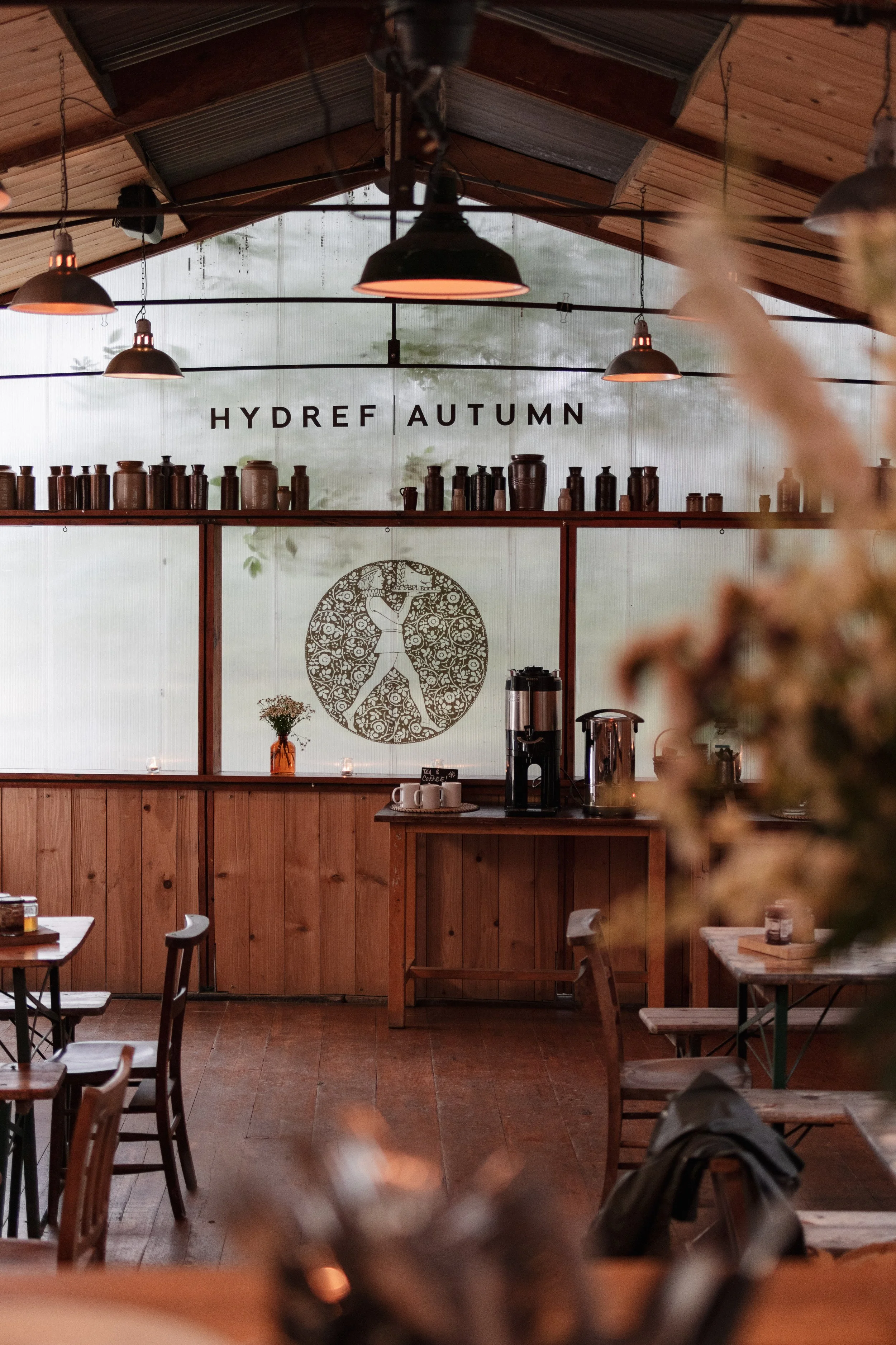 7M1A0508- BrookAurora Fforest_.jpg