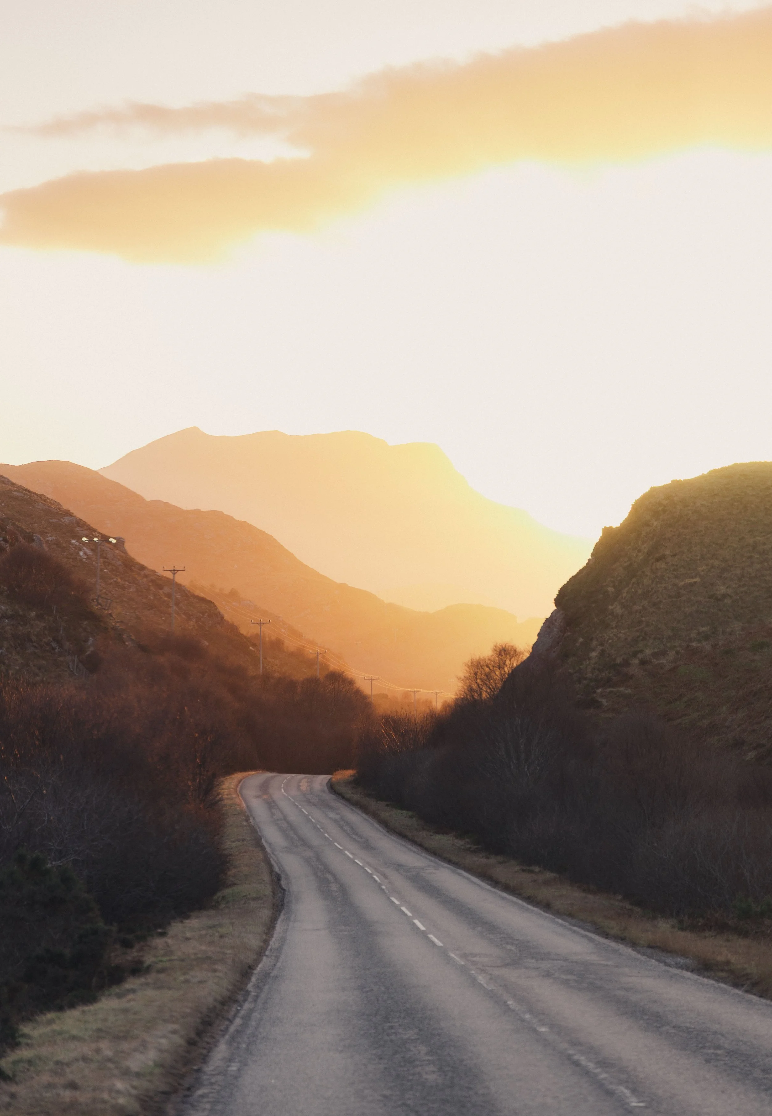 Brook Aurora Travel-69.jpg