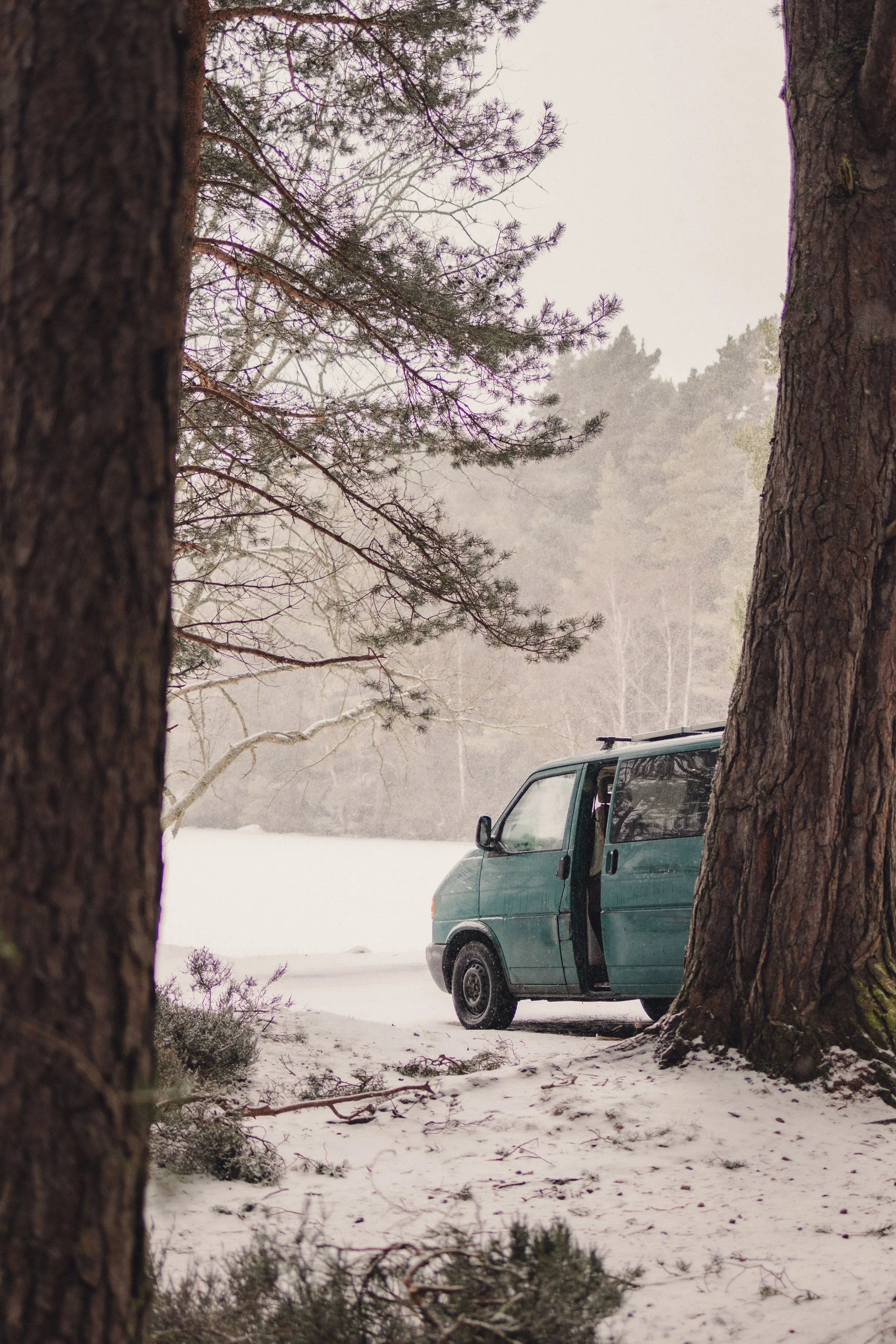 Brook Aurora Travel-5.jpg