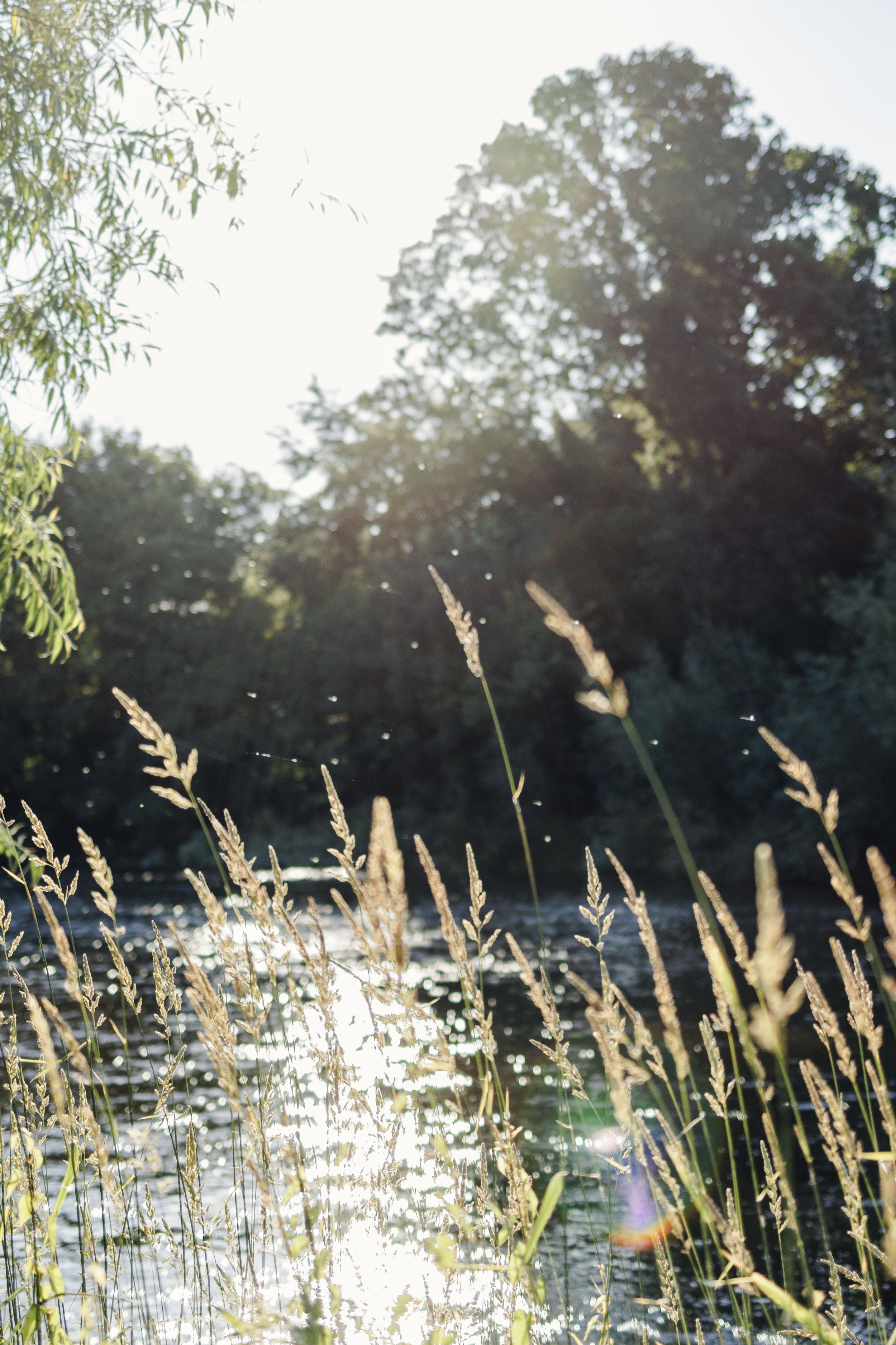 By The Wye- BrookAurora-50.jpg