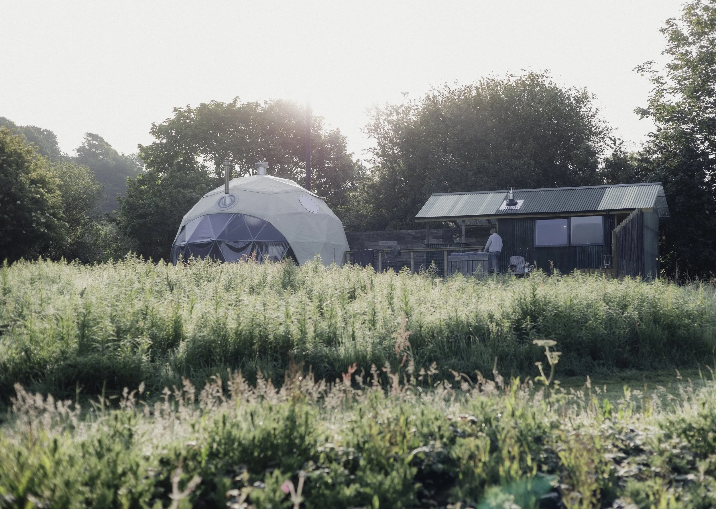 Brook Aurora - Fforest Manorafon-97.jpg